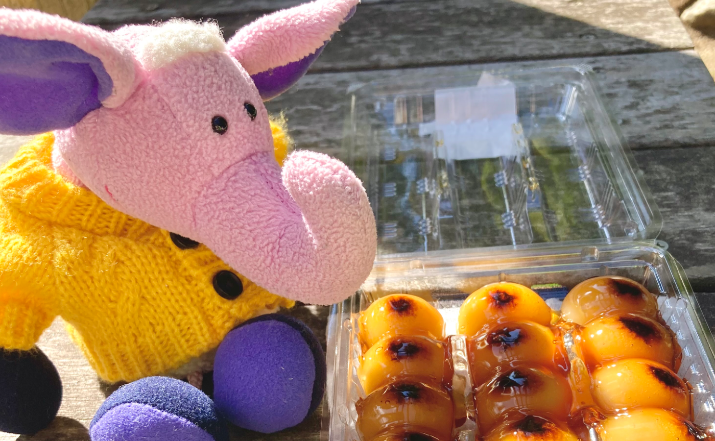 秋のお散歩にいったよ♪