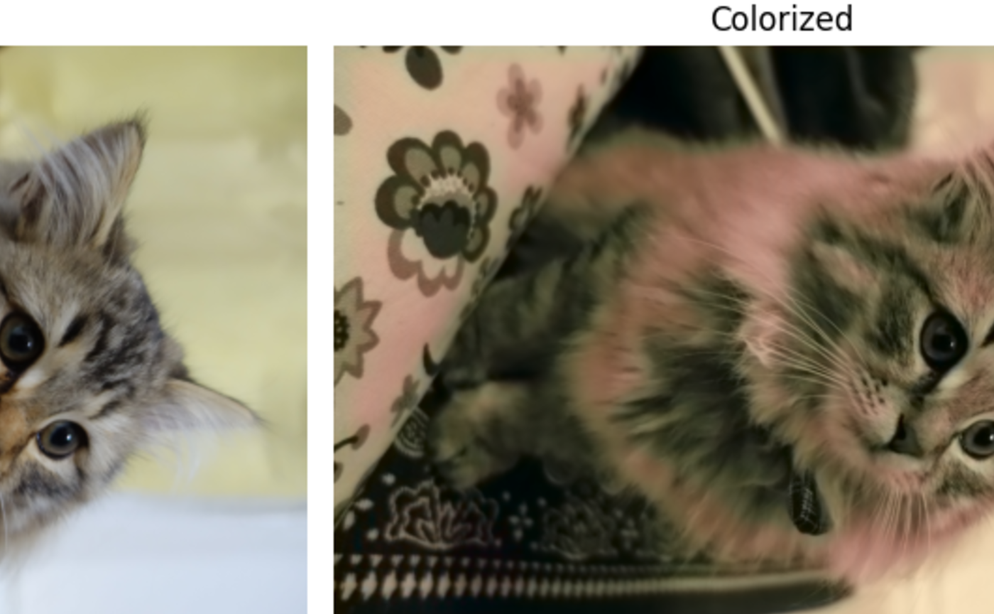 超初心者🔰が世界に色をつける