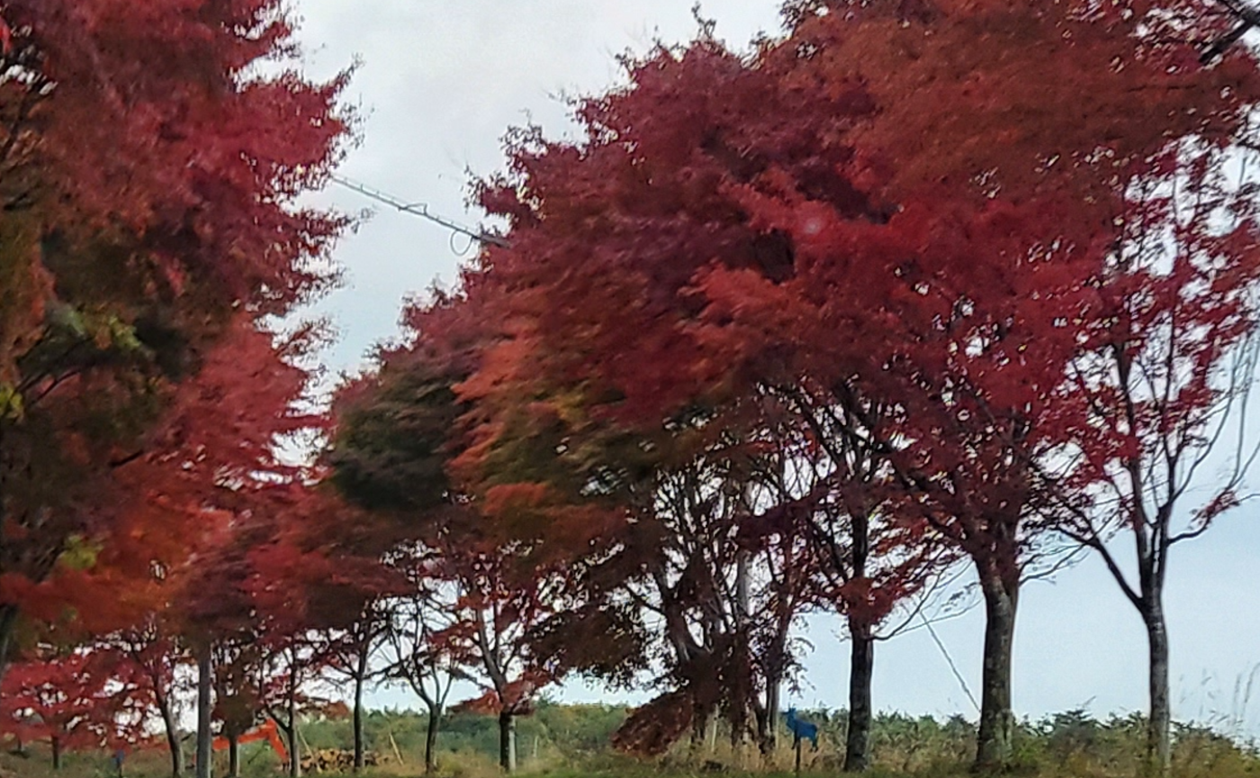 引き寄せのお話🌈