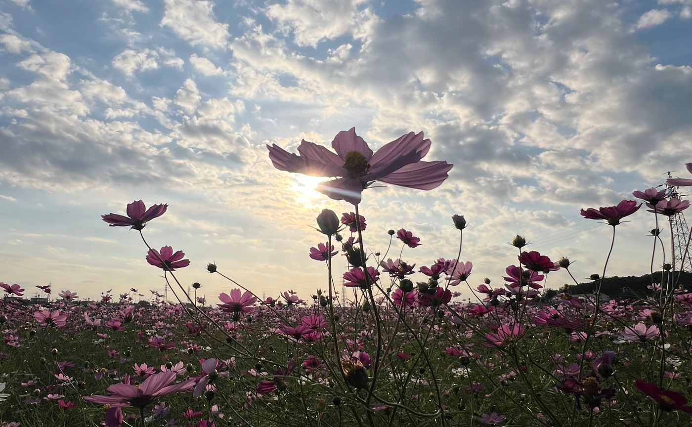 Nature brings me back to myself.