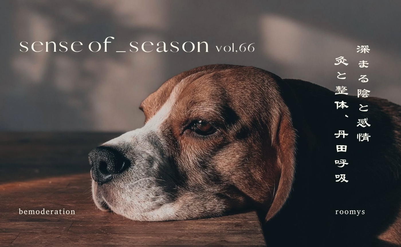 SENSE OF SEASON vol.66 November 「深まる陰と感情-灸と整体、丹田呼吸、軸を成すお手当法-」