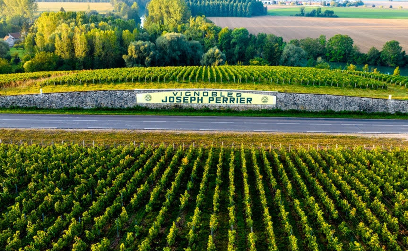 品川店｜JOSEPH PERRIER テイスティングセミナー　　　        