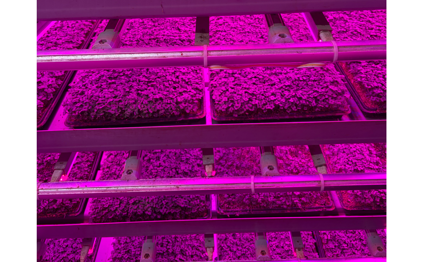 品川店リニューアルオープン限定メニュー　〜つくり手さんを訪ねてVol.2〜