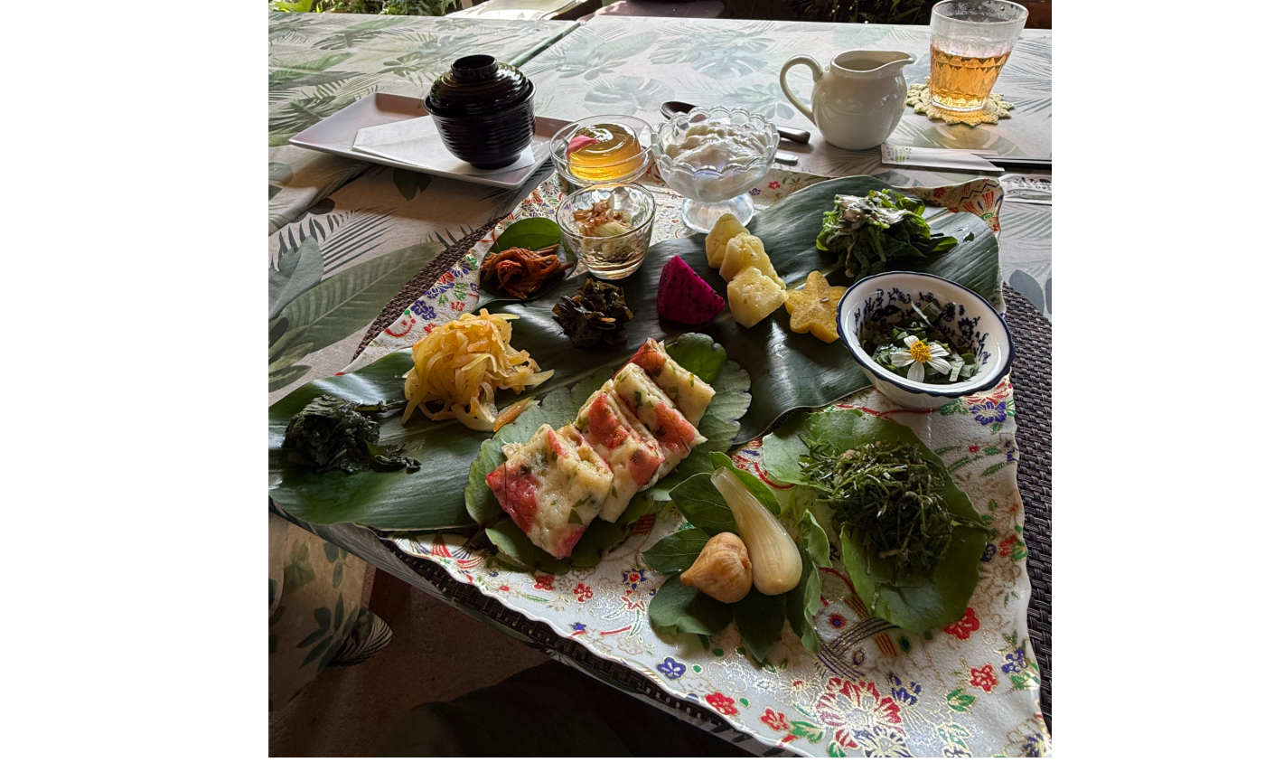 最強の知恵と恵み。沖縄最北端の森で堪能した「薬いらず」の野草フルコース