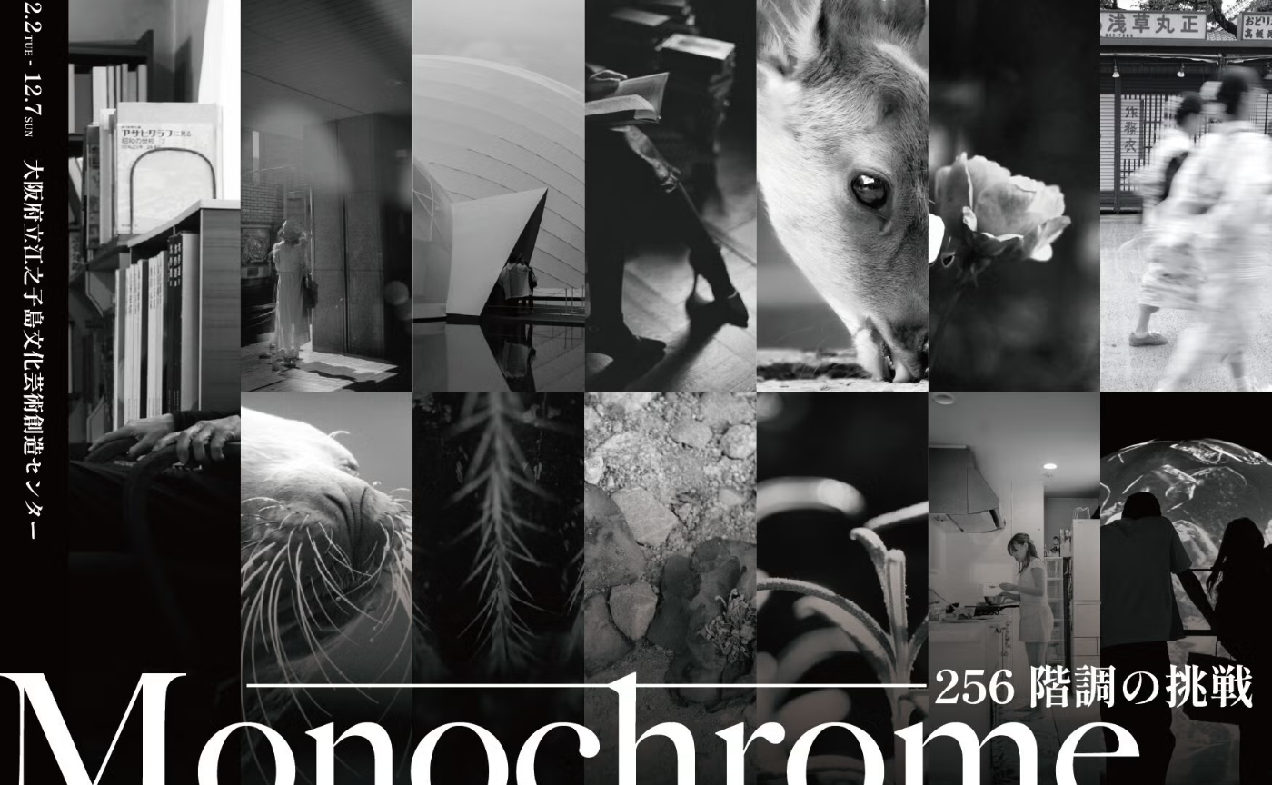 Monochrome ― 256階調の挑戦|camelltown関西メンバー、企画展のお知らせ