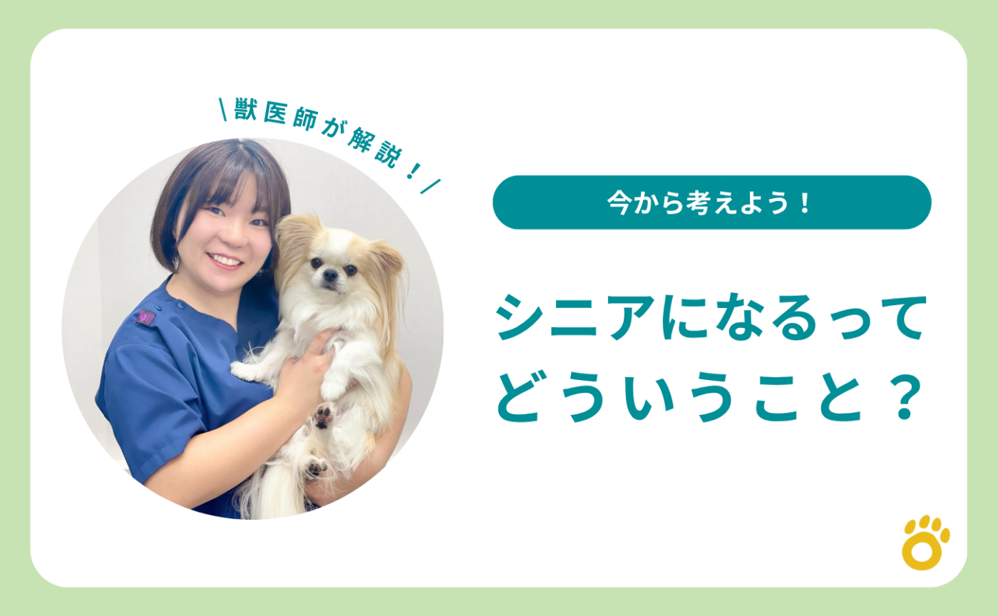 【獣医師解説】シニアになるって、どういうこと？