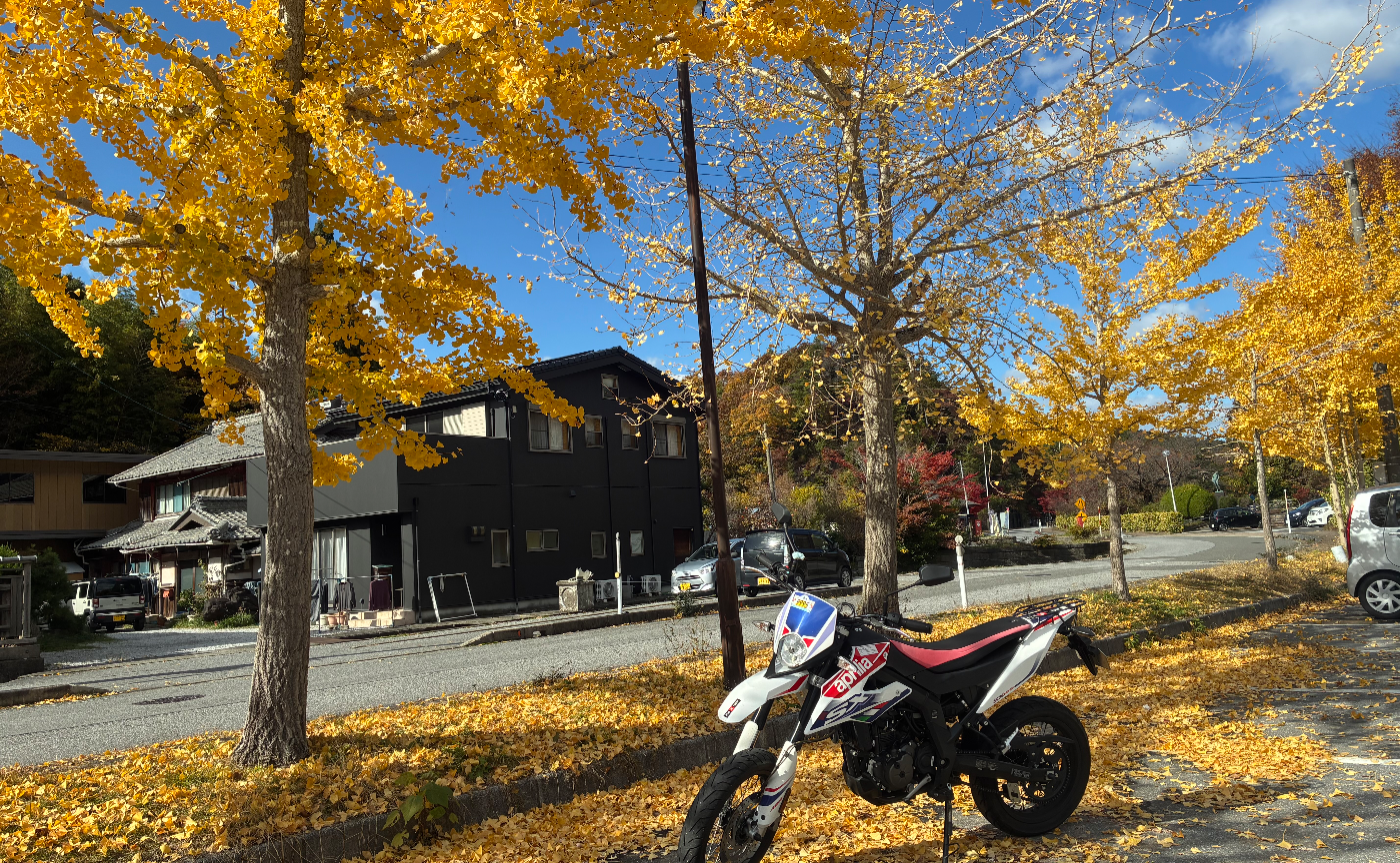 1122CBTRパトロール⑨（サボってました💦）