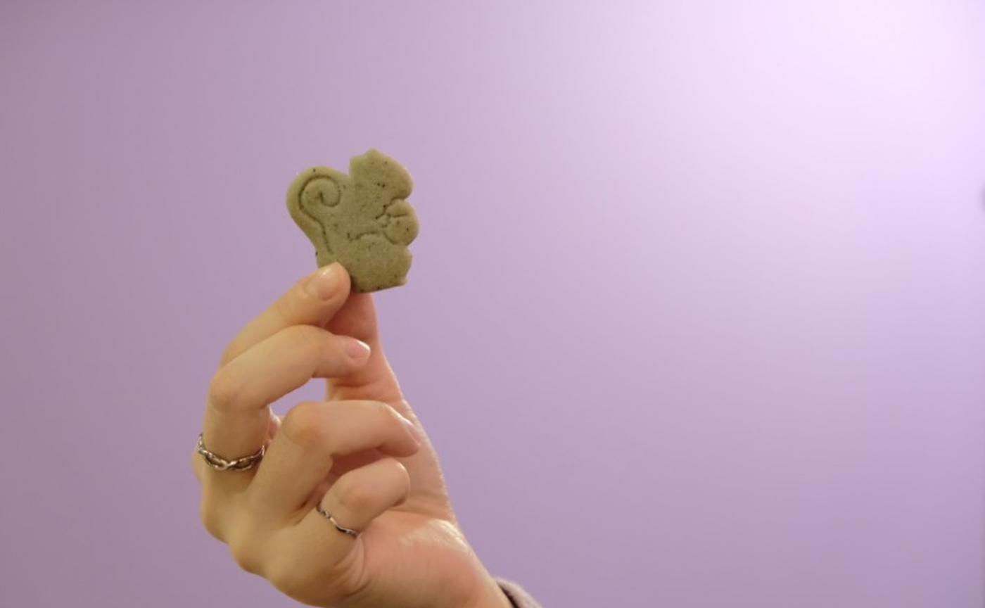 【開催レポ】外苑前イチョウ並木と原宿CAFÉ LATORY ROOM☕