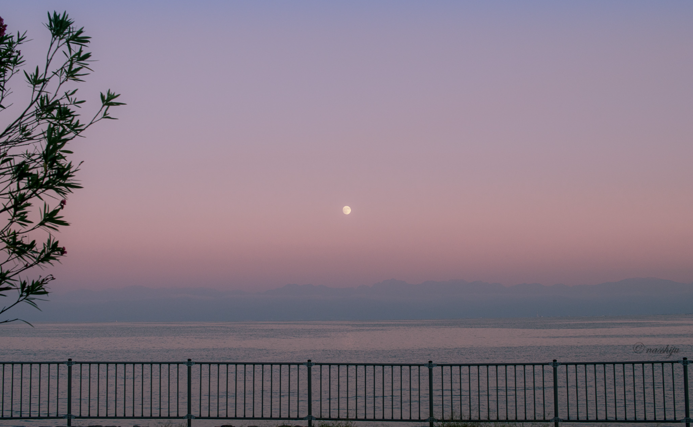 仲間と巡って見えてきた、なっしぃさんの2025年