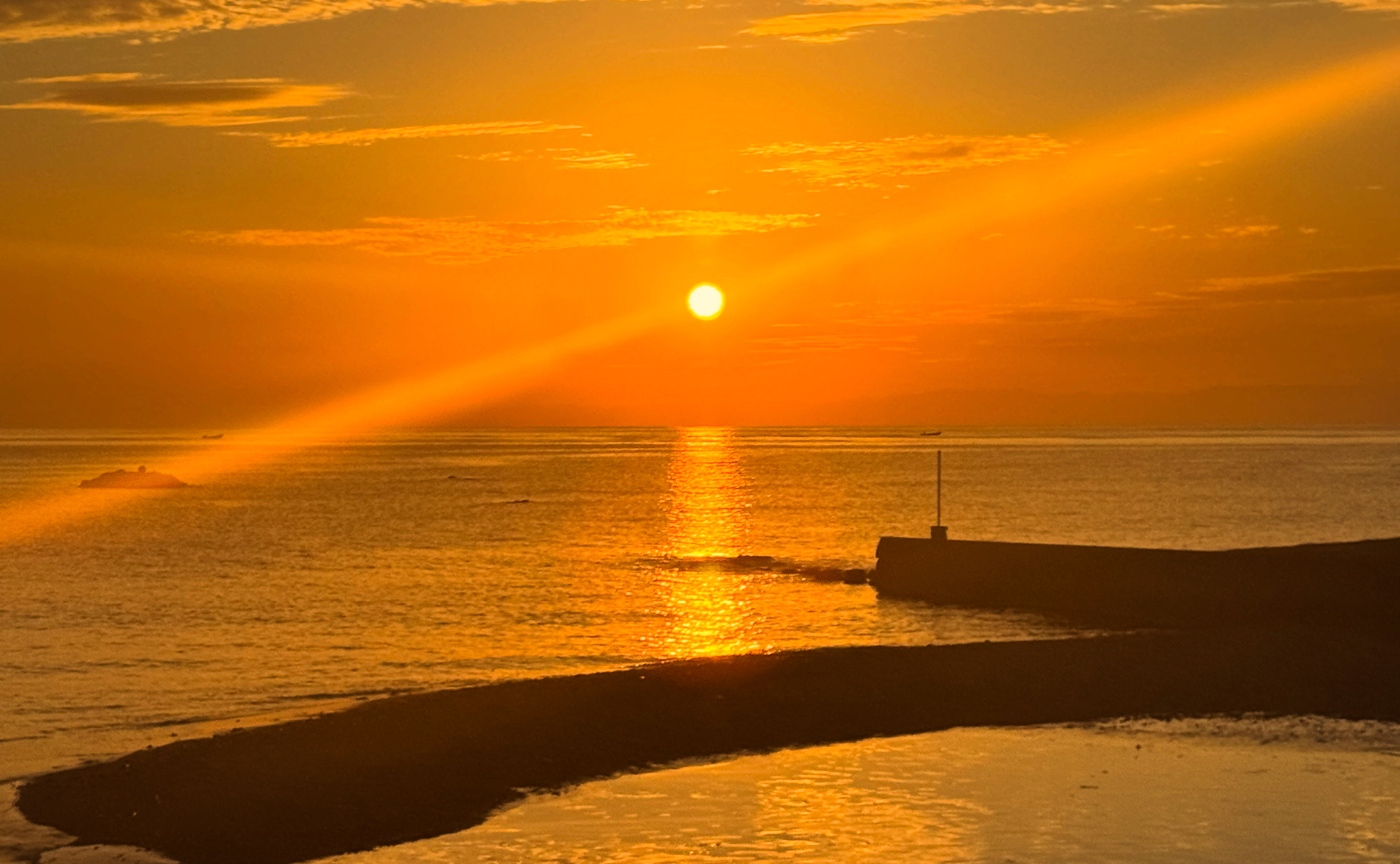 アイデアの仔羊の群れ