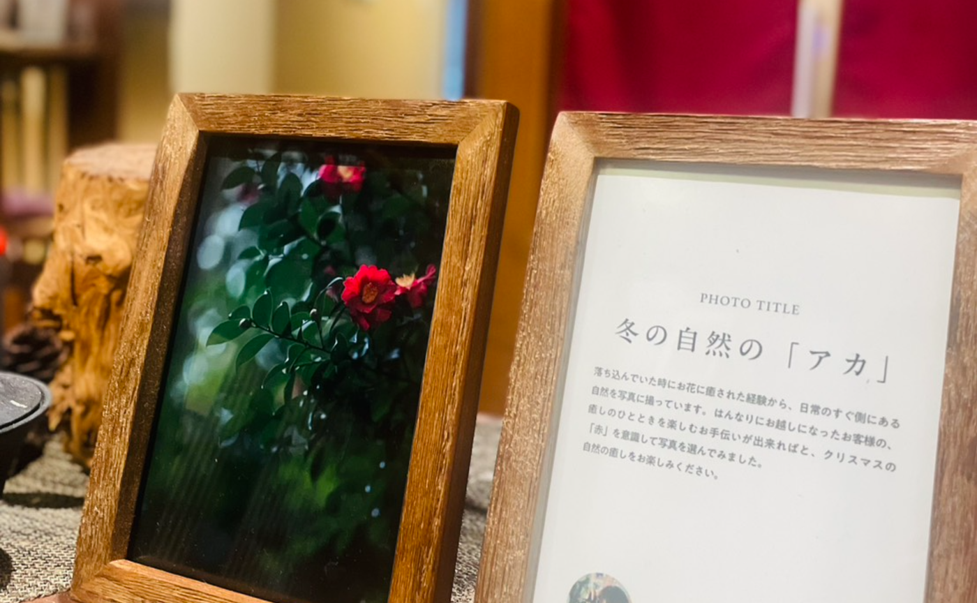 12月のMY LITTLE GALLERYは、totto さんの展示です🎄