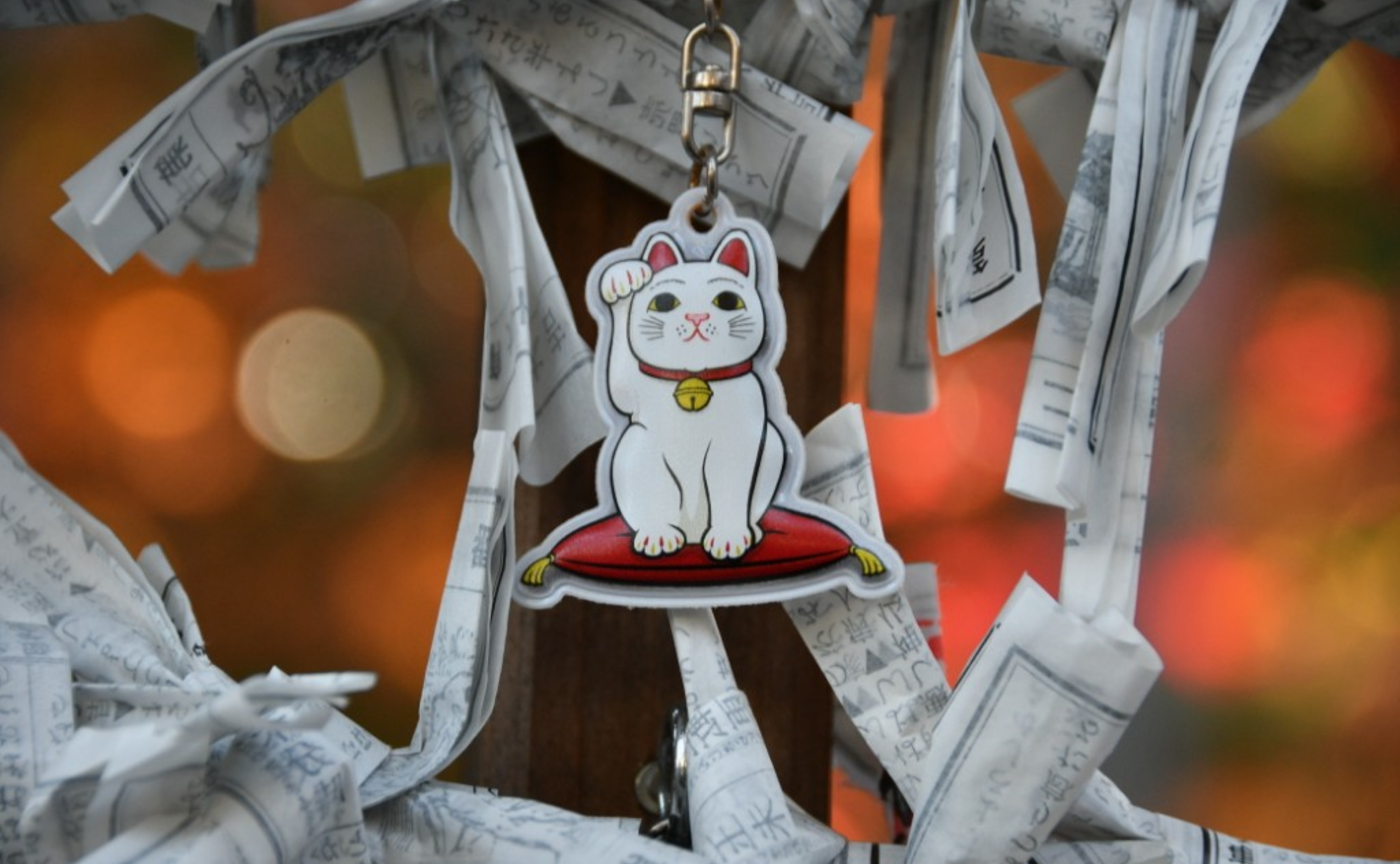 【開催レポ】世田谷線で🍁ゆる鉄旅🚊