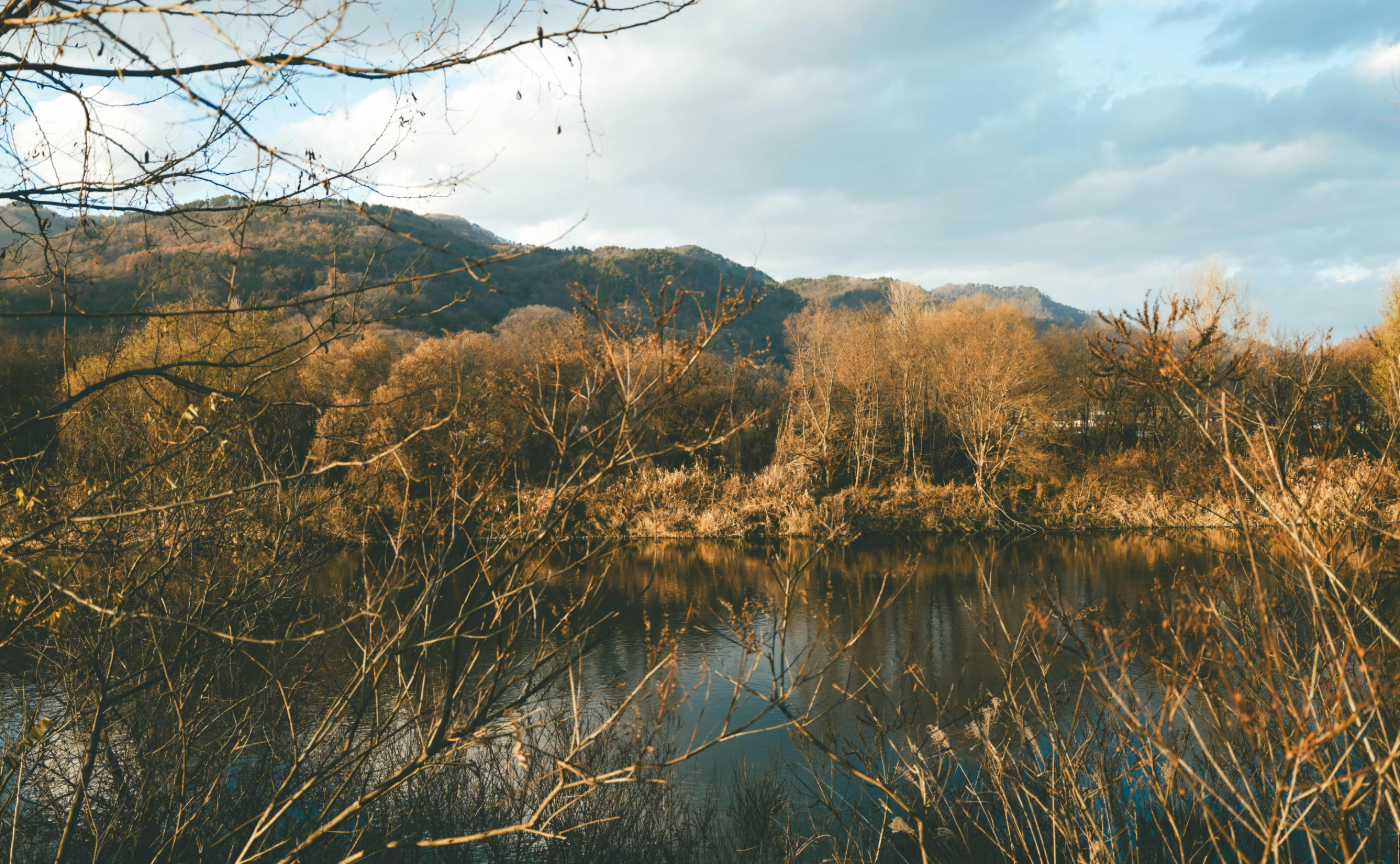 そんちょー報 Vol.18｜必読？ もうすぐリニューアルすること