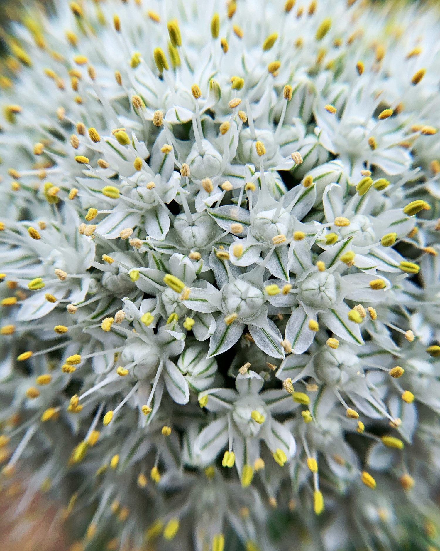 インフレーション