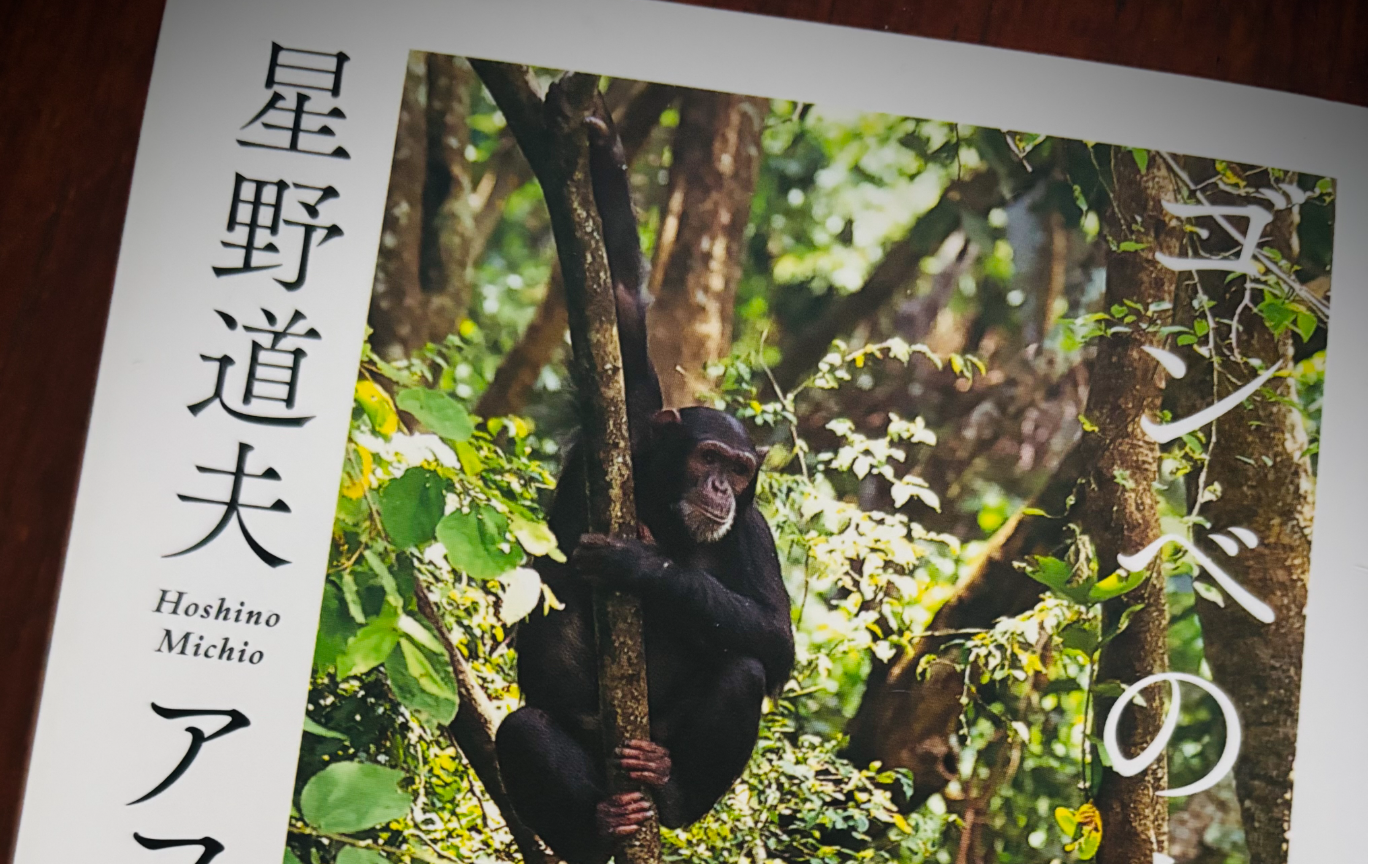 人と人が出合う限りない不思議さ