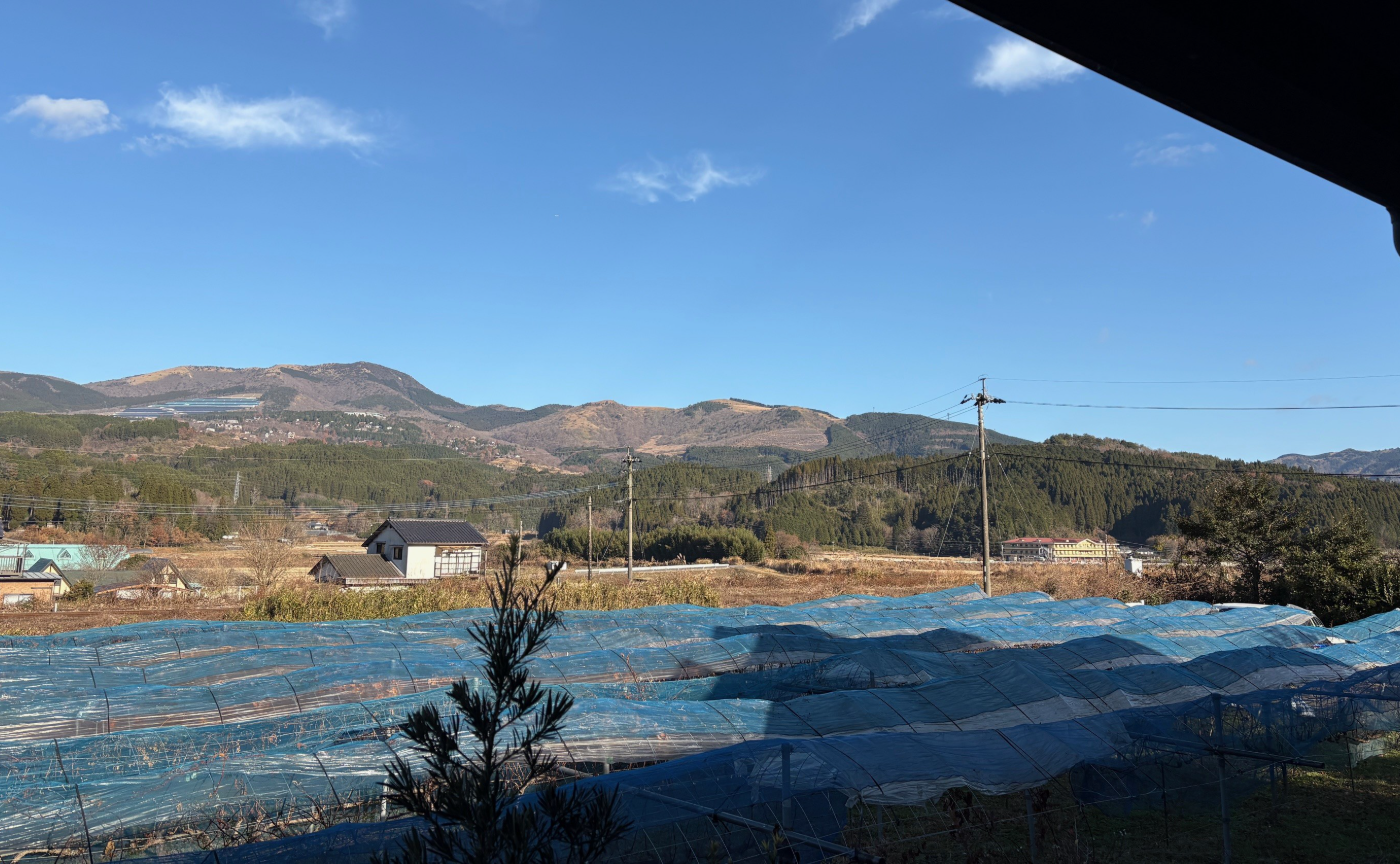 葡萄畑と冬の青空