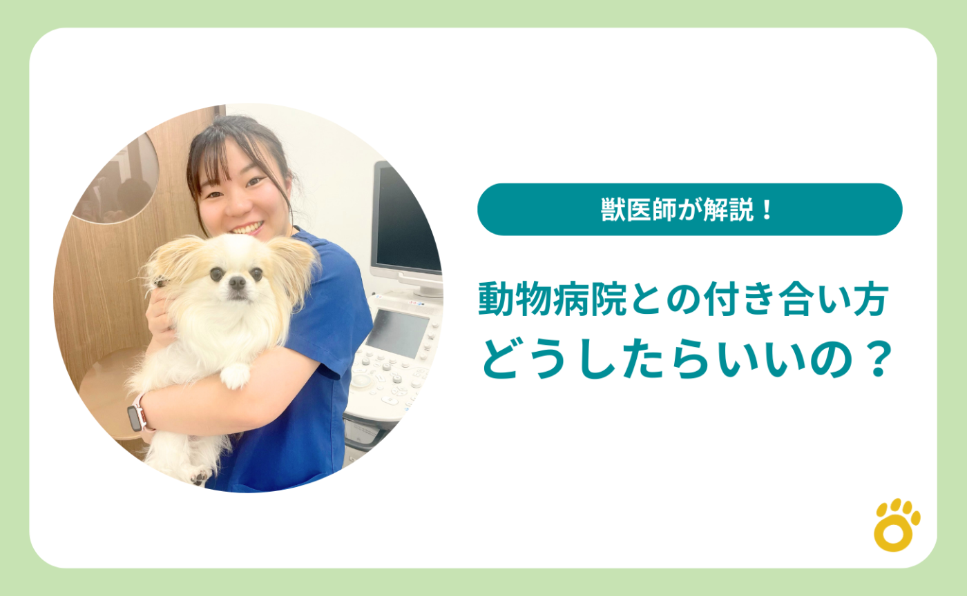 【獣医師が解説！】動物病院との付き合い方ってどうしたらいいの？