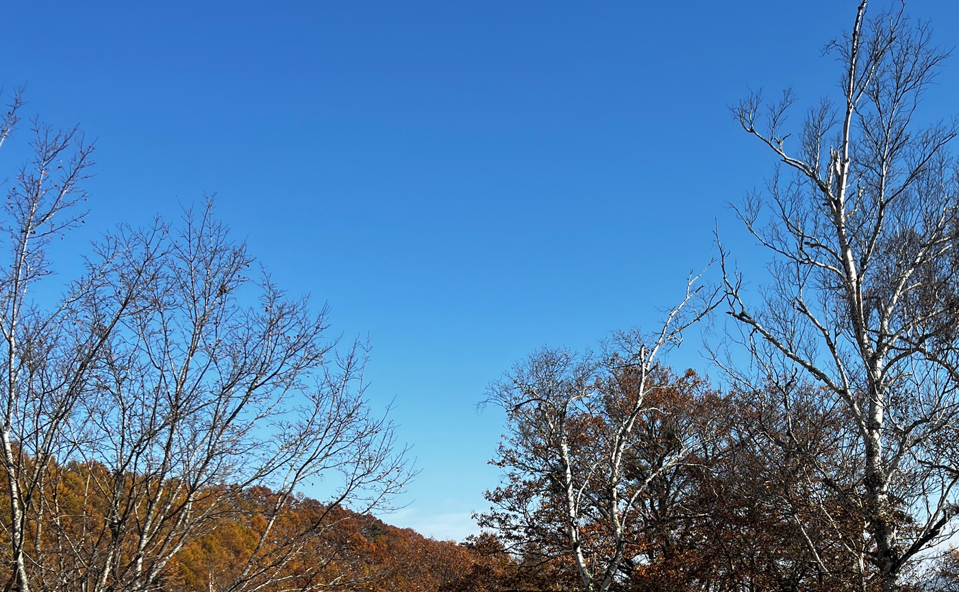 鉄と砂糖と小麦粉と (11月の振り返り)