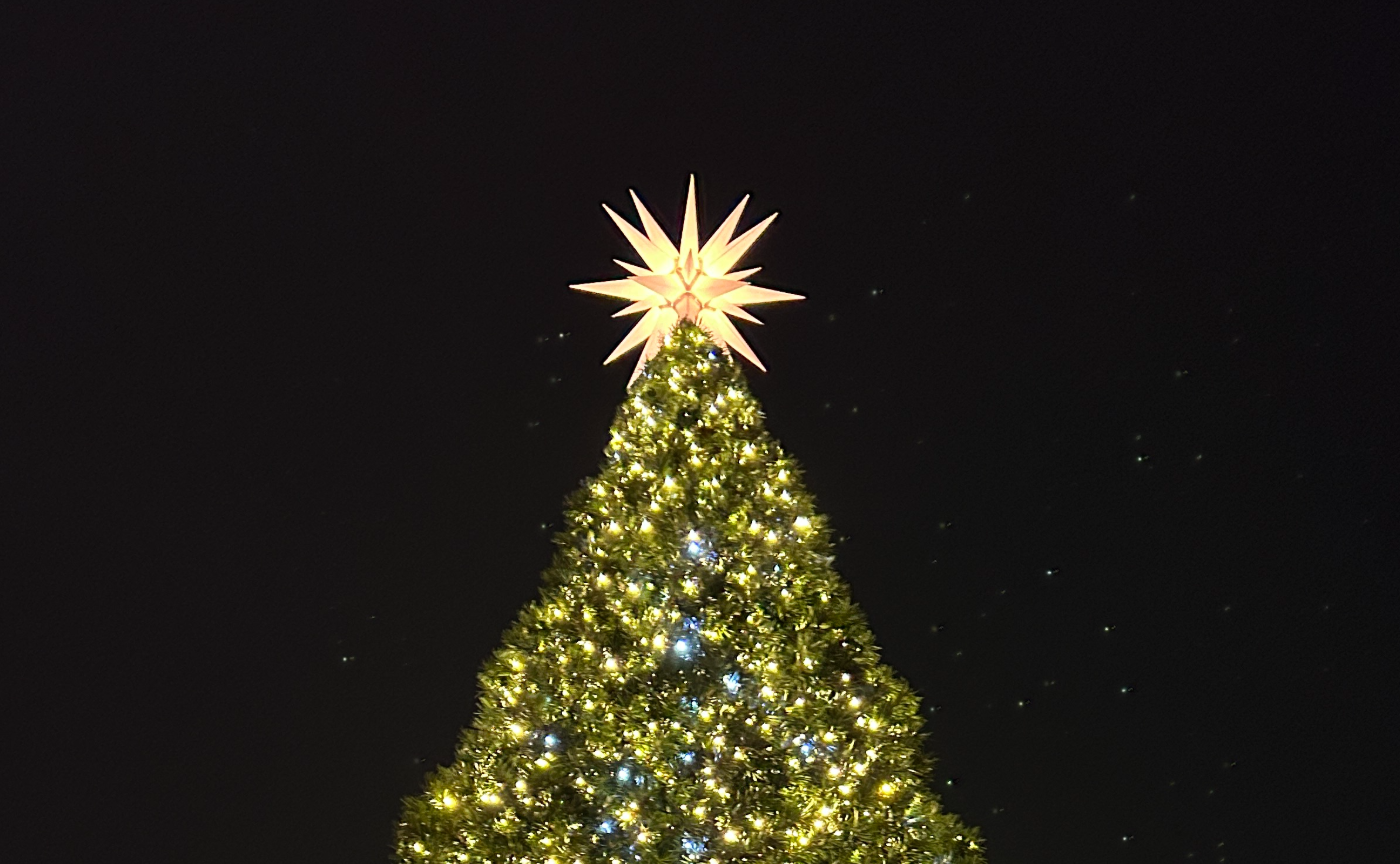 運動と英語と少しのデザインを頑張った2025