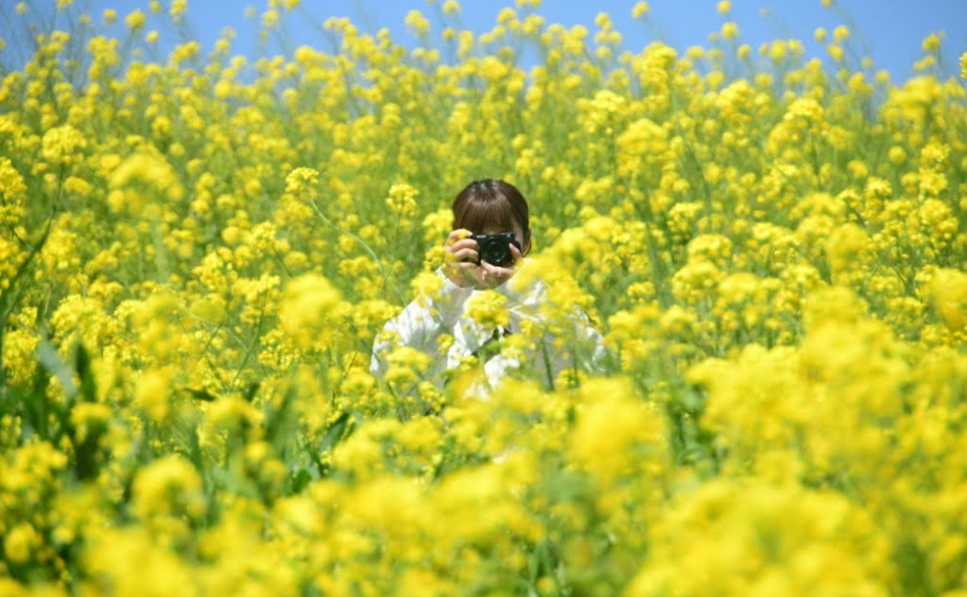 「次はどこ行く?」をつくる、ソメっちさんの2025年