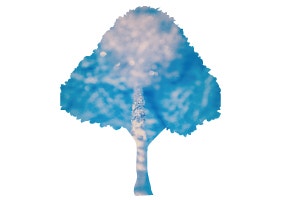 環境に優しい水を使うということ