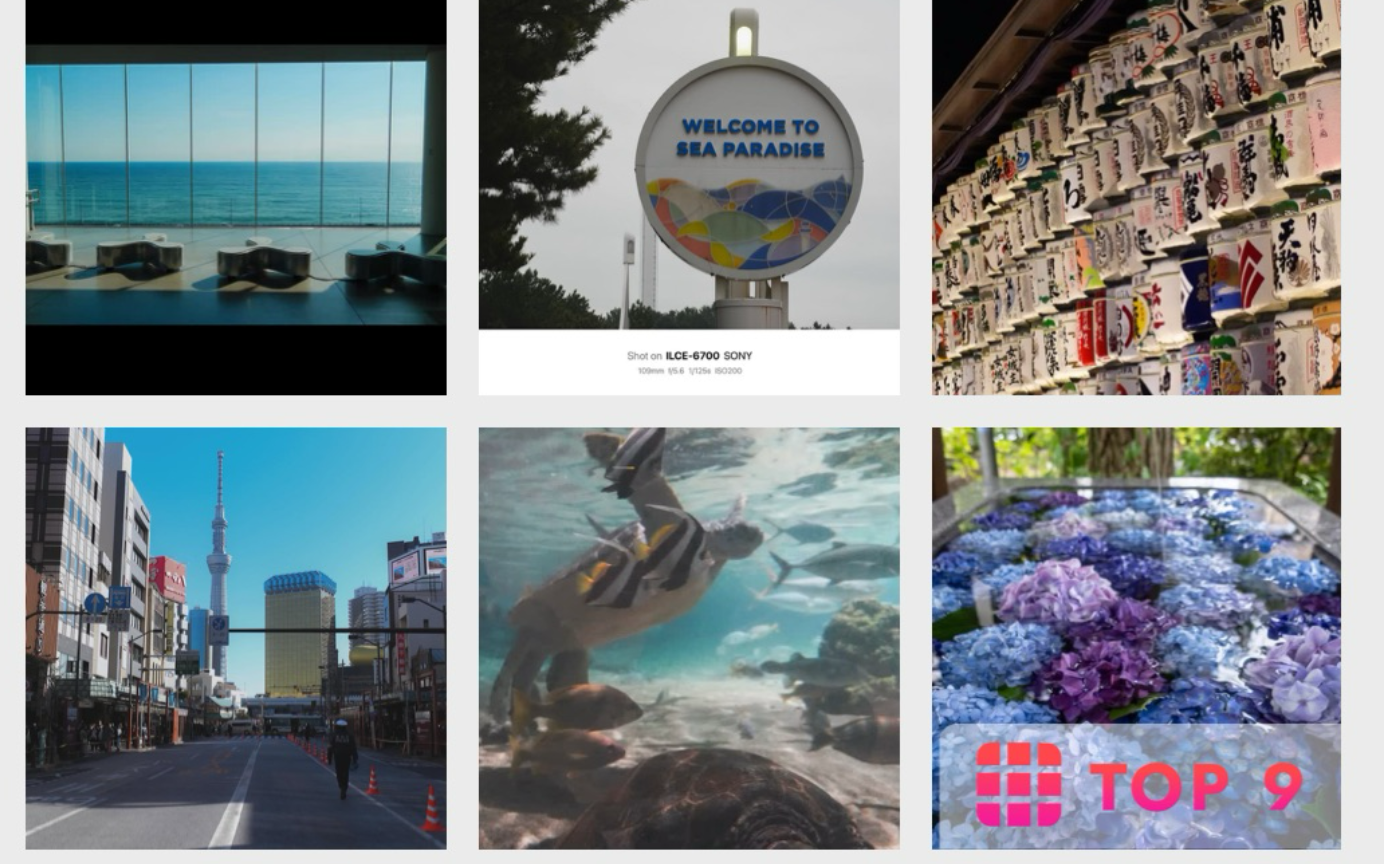 カメルと巡った2025年