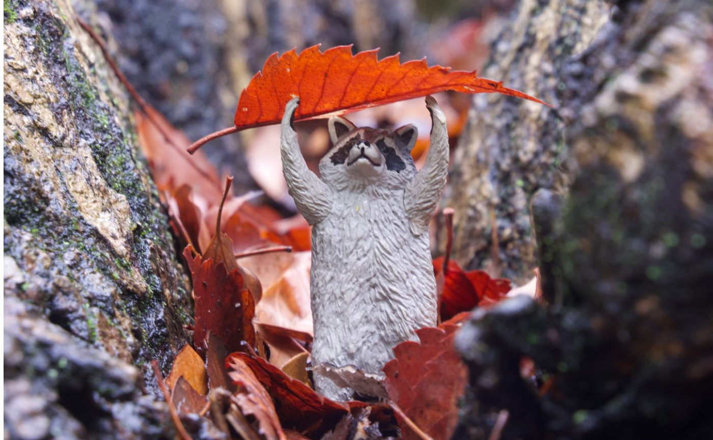 今年を振り返ってみたりなど。