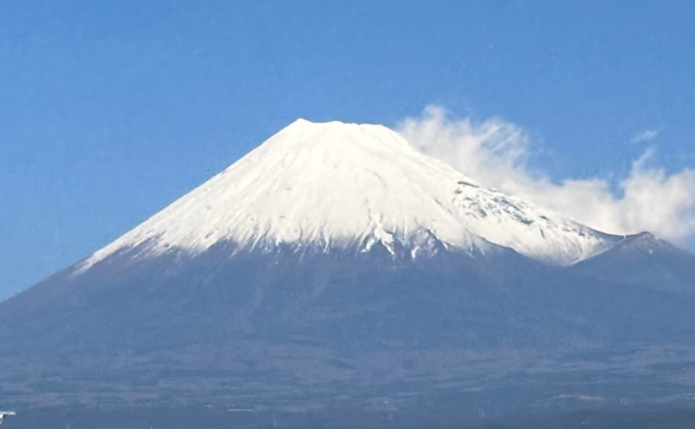 ๐ๆๅใฒใจใใ 2026ๆฐๆฅๅท๐ด