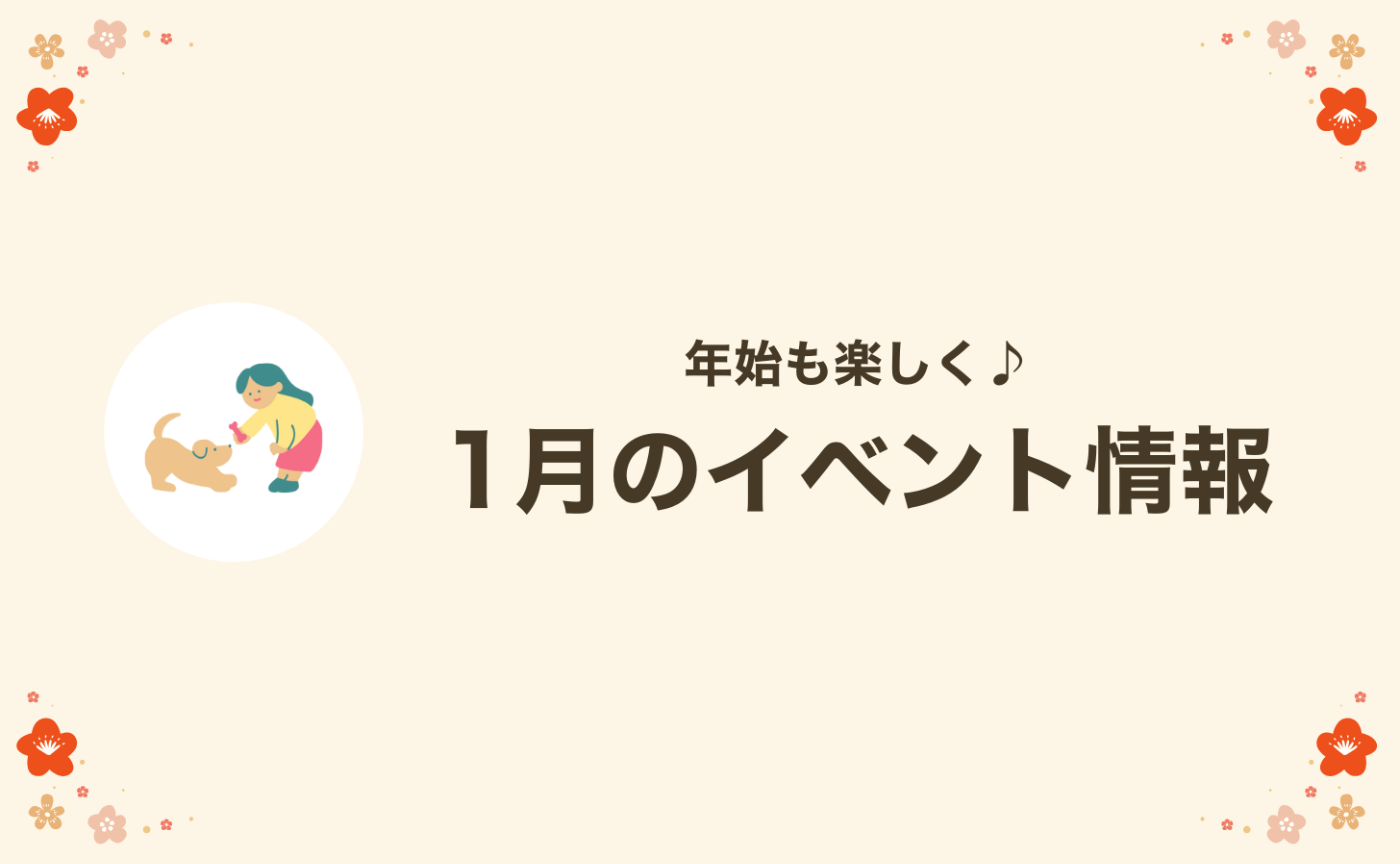 【1月のお知らせ】スペシャル強化月間も開催🎄新着イベント情報