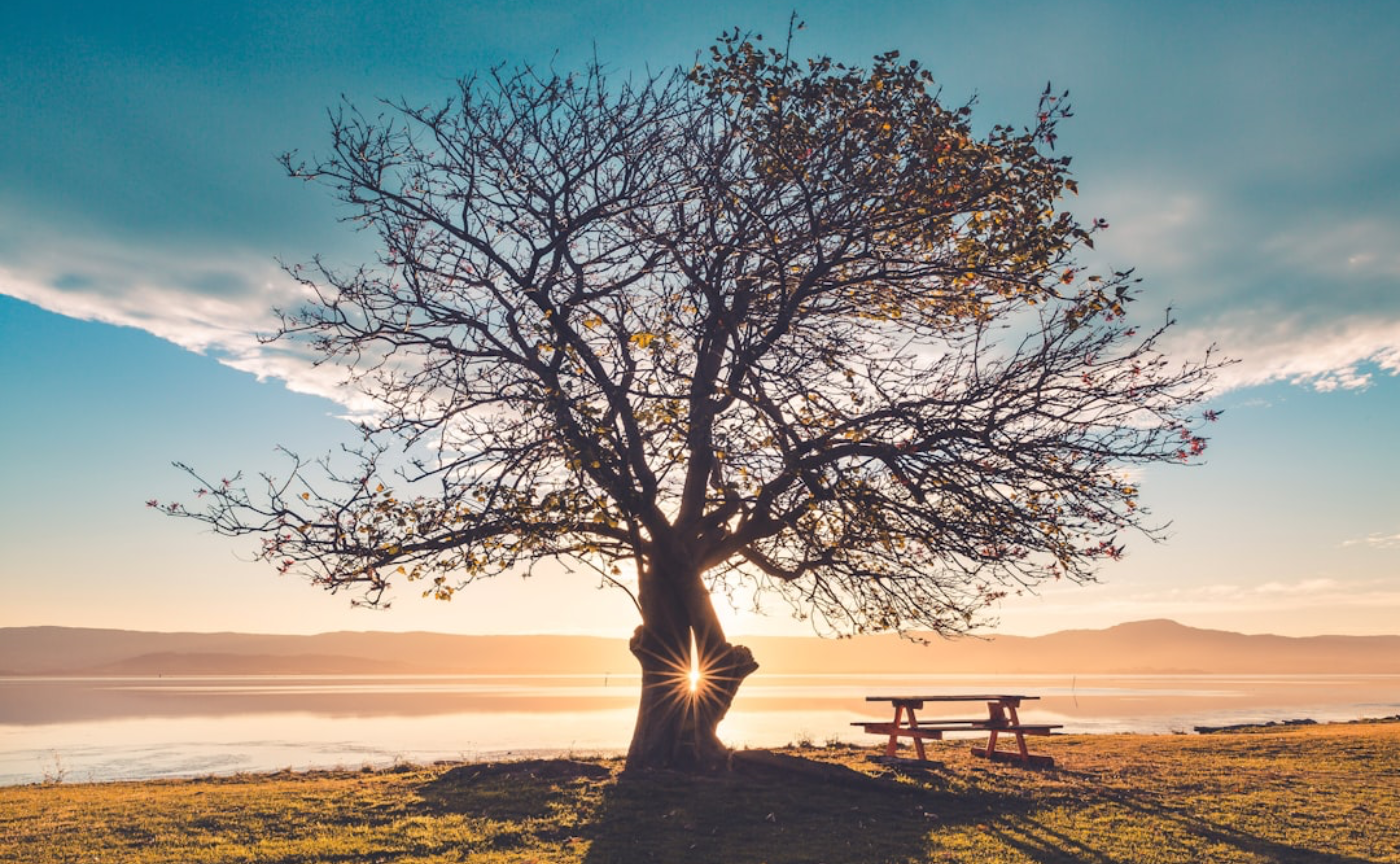 2026年My organic note2026 日常を俯瞰する