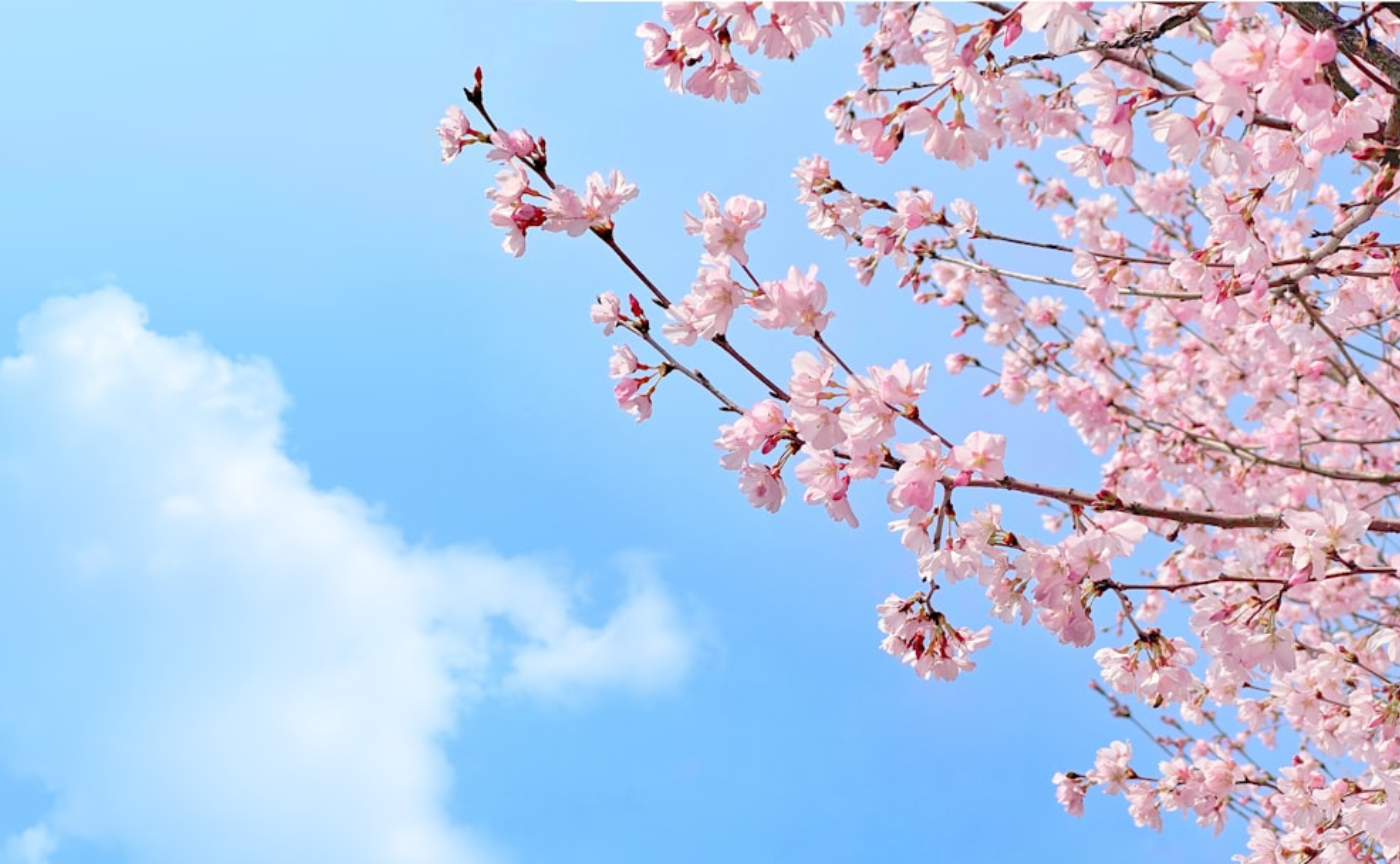 なぜオンラインサロンを始めたの？