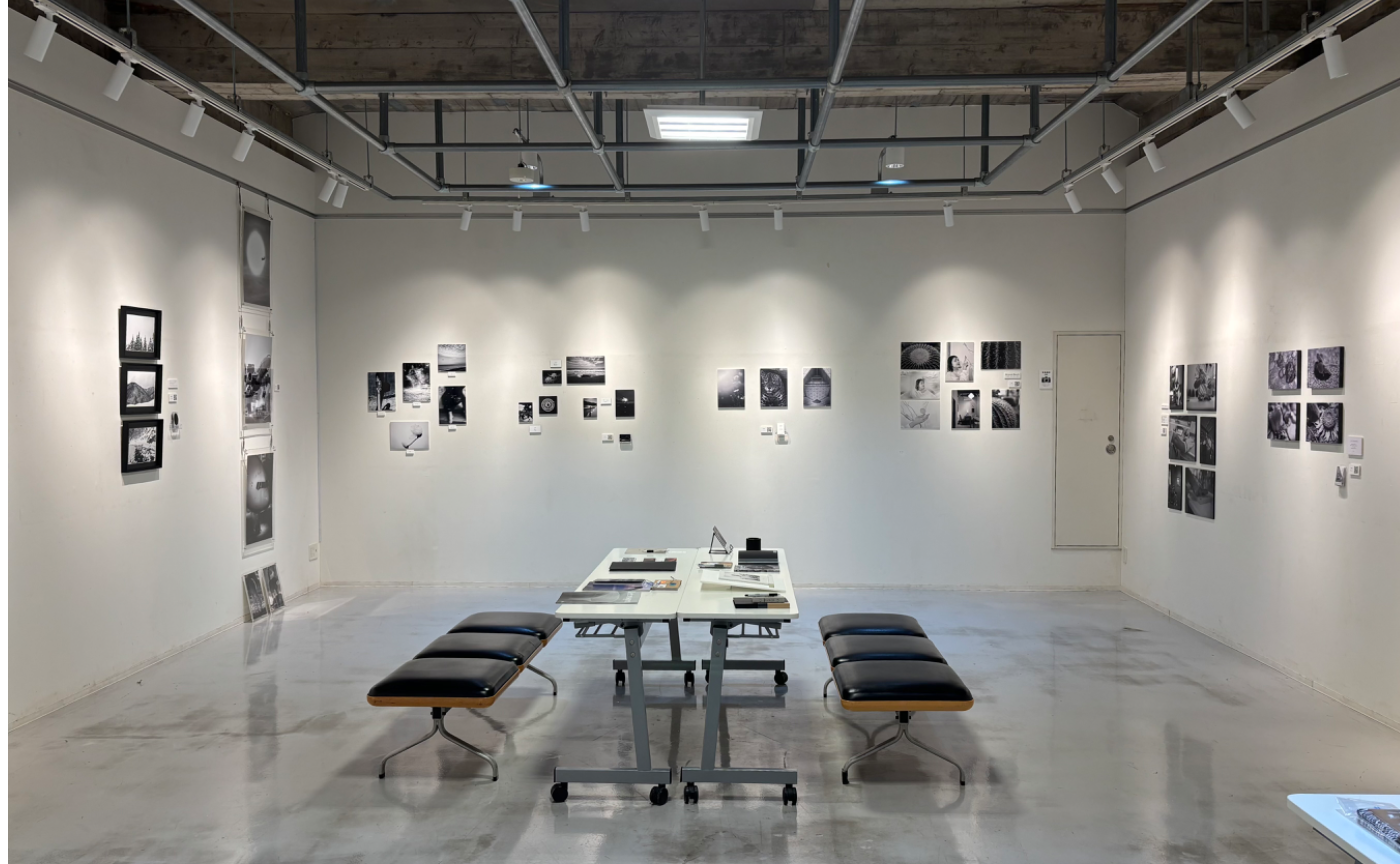 モノクロ写真を撮り続けた2025年