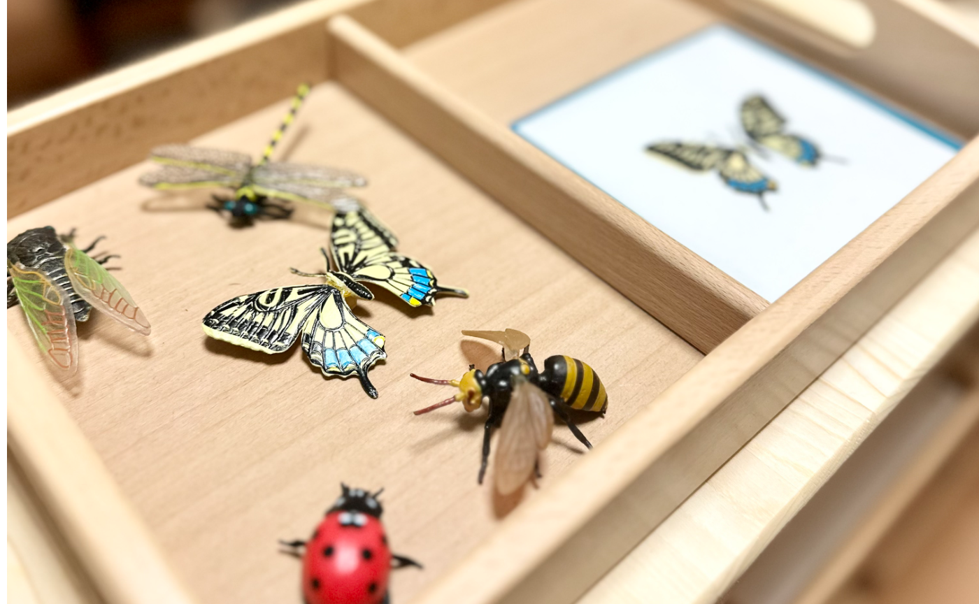 【1000円】絵カードのみ（※ミニチュア/お盆は付属しません）