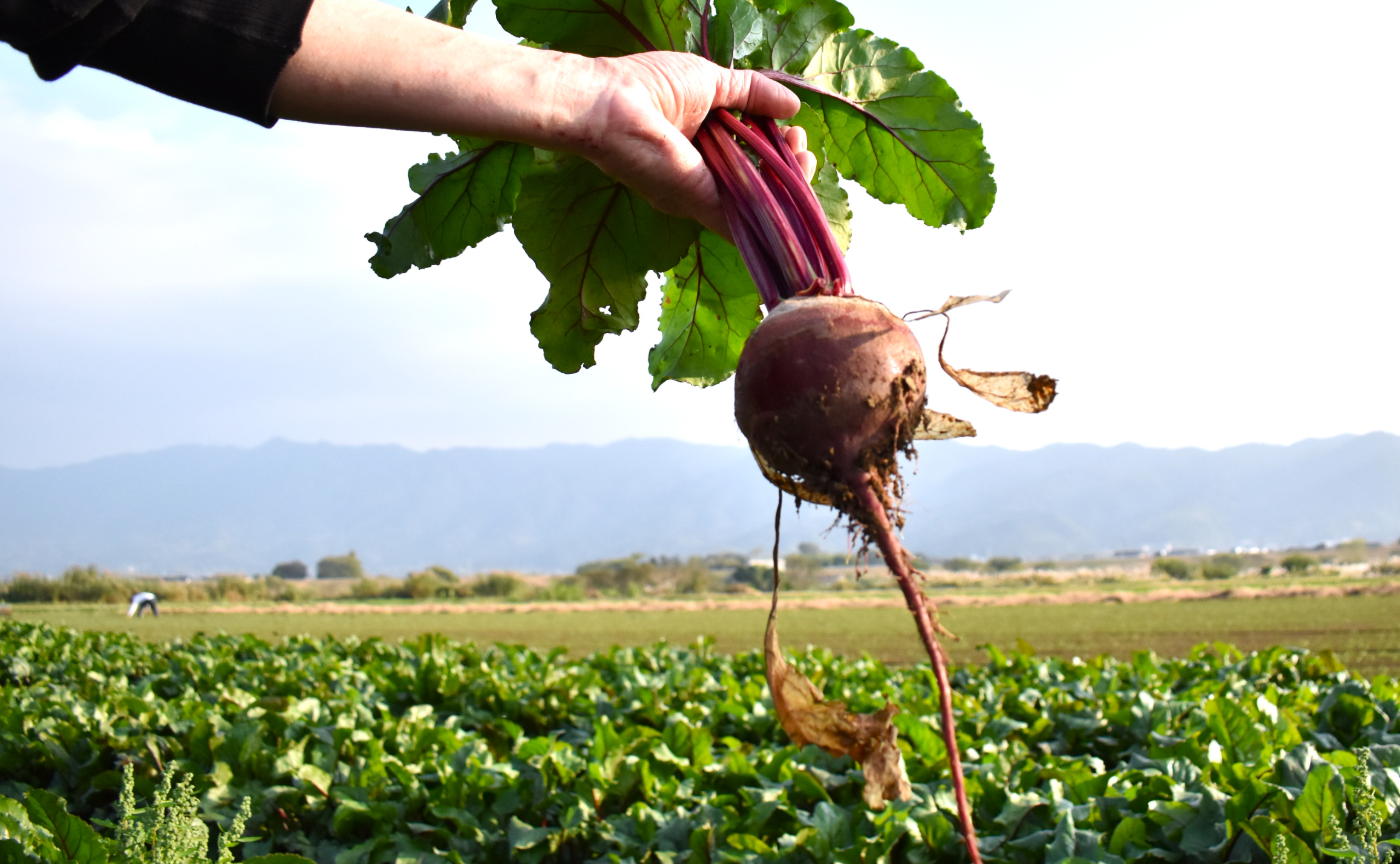 九州｜筑後のうまいもん放浪記 vol.4