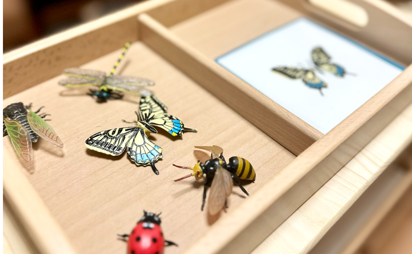 【2000円】絵カード・ミニチュアセット（※お盆は付属しません）