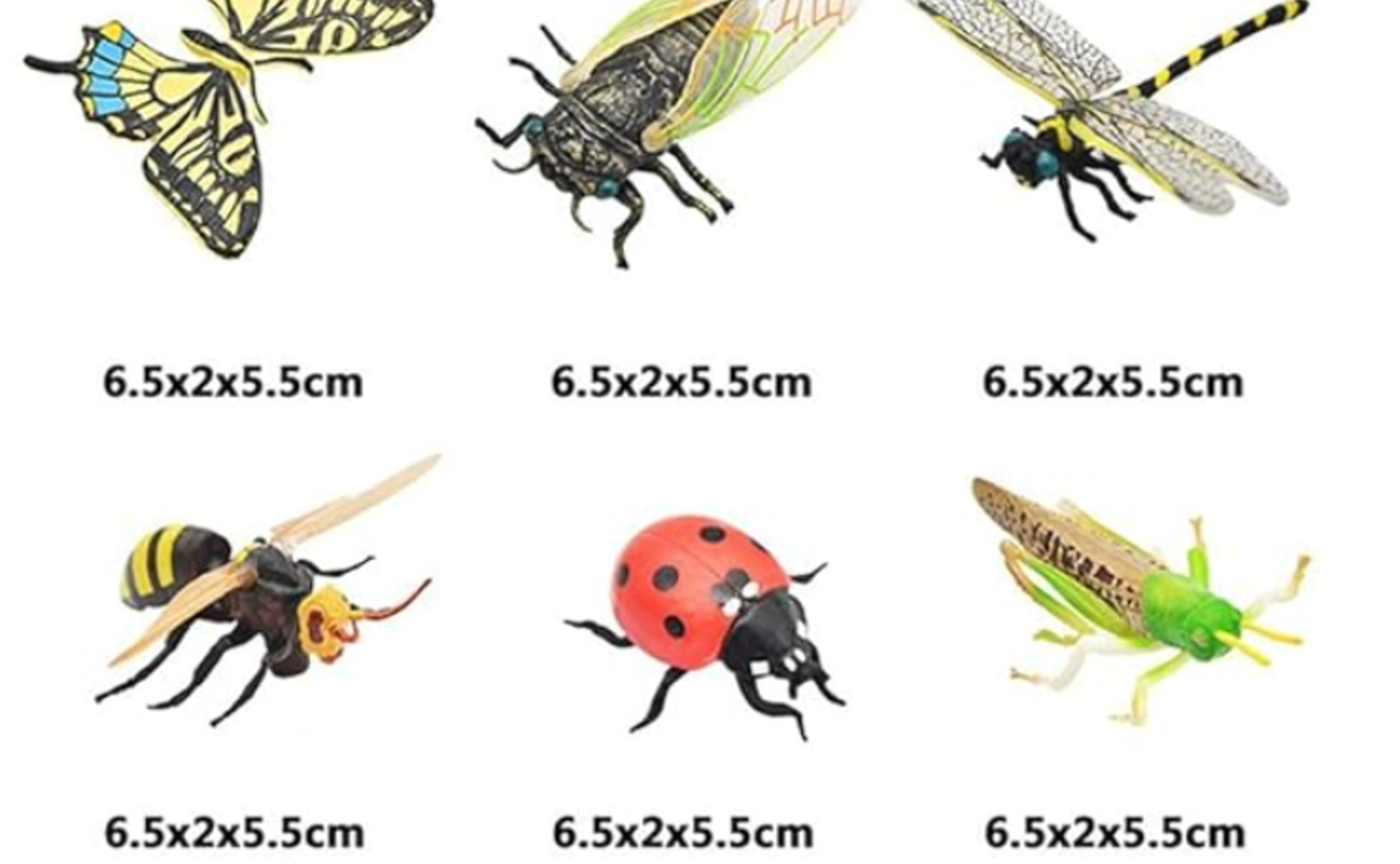 【2000円】絵カード・ミニチュアセット（※お盆は付属しません）