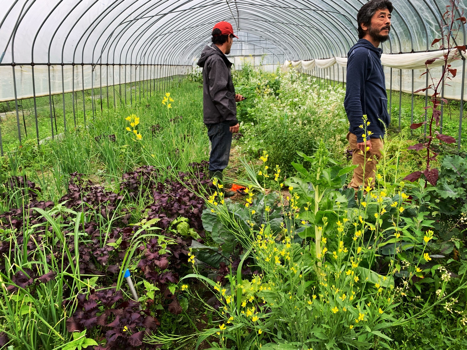 尊敬すべき先輩と後輩