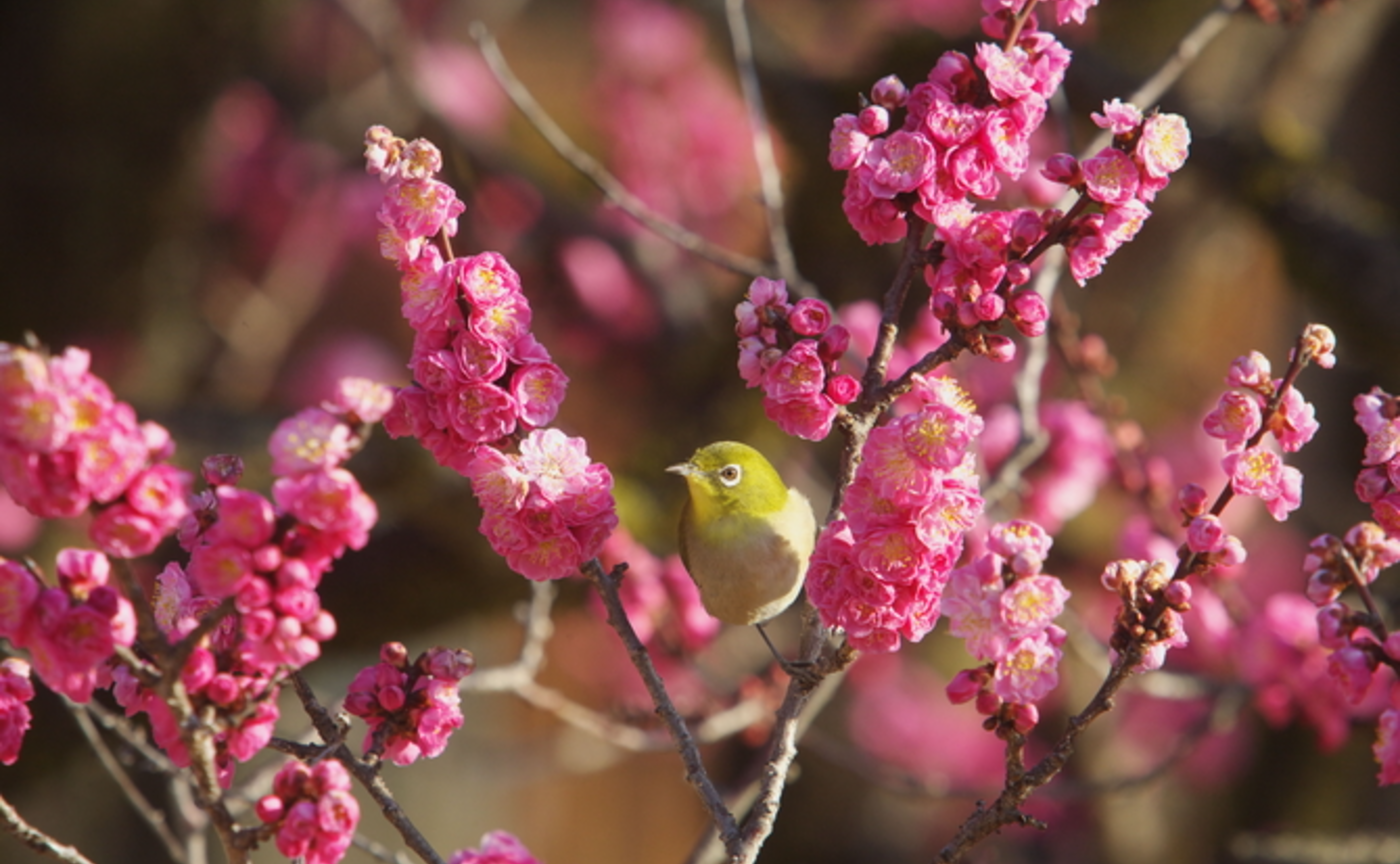 月刊ひとさじ👹 2月号