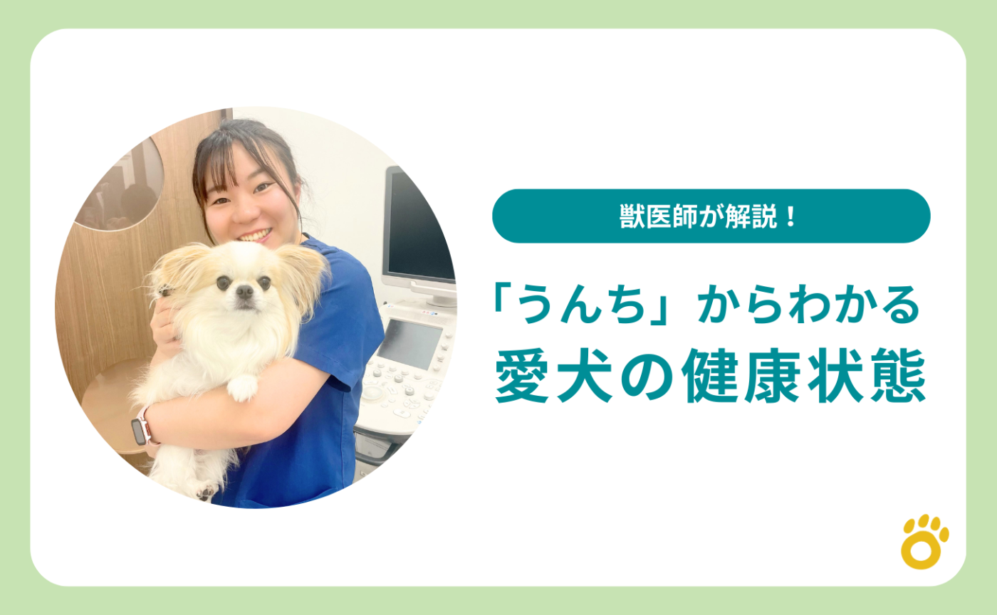 「うんち」からわかる愛犬の健康状態
