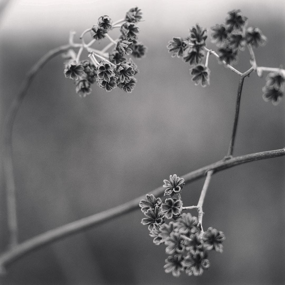 July, 4w / Editor's note - 腑に落とすということ 