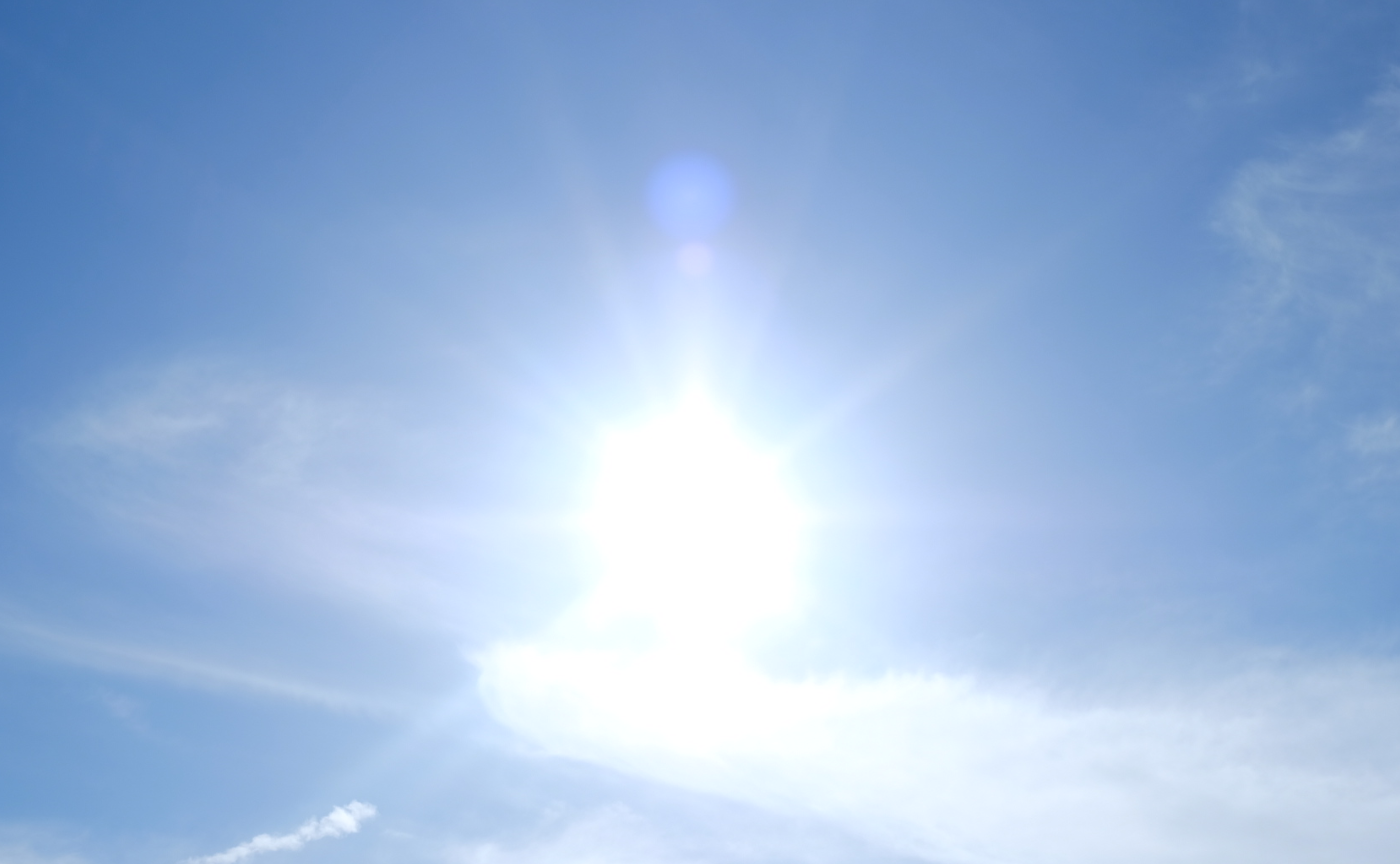 引き続きもこもこ