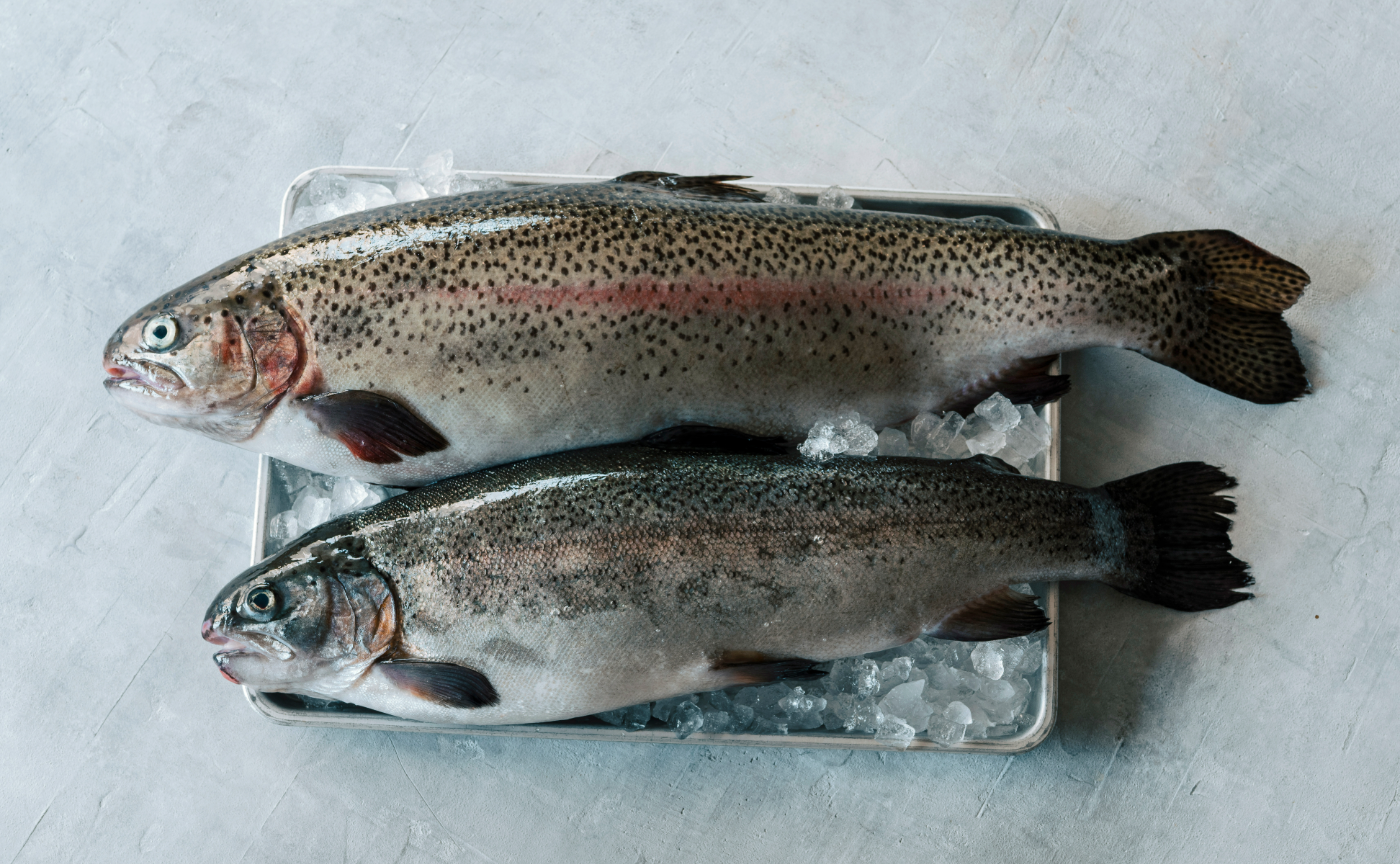 品川店限定メニュー〜つくり手さんを訪ねてVol.3〜