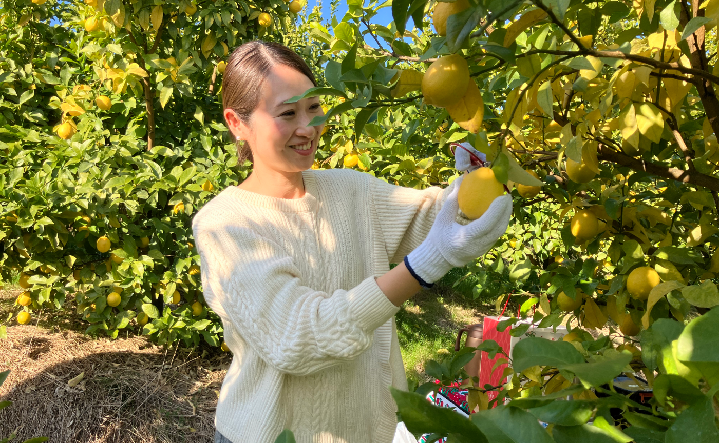 和歌山県紀の川で季節のフルーツを堪能する旅