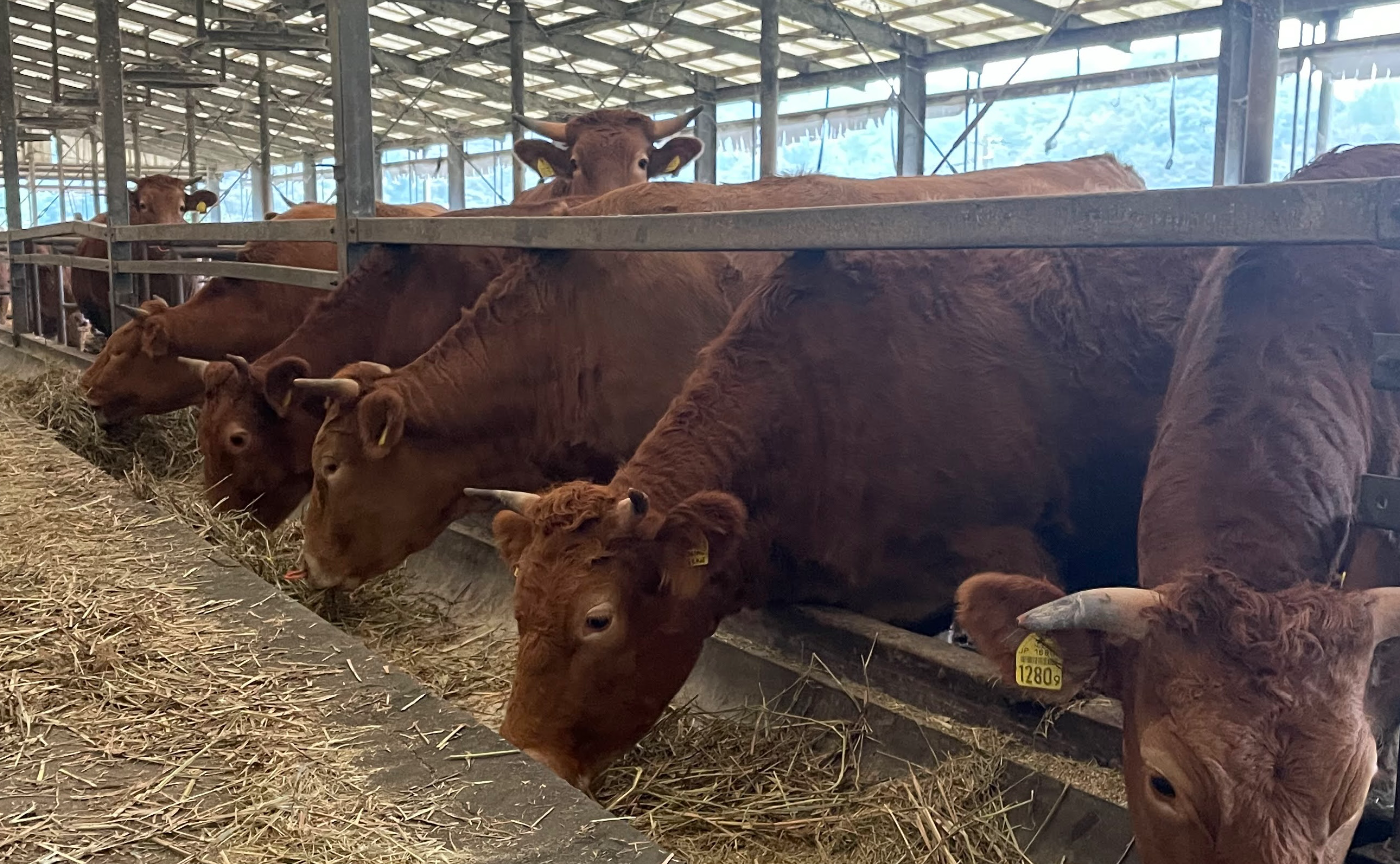 MEET LOCAL｜熊本県の食材で旬をたのしむ〜つくり手さんを訪ねてvol.2〜