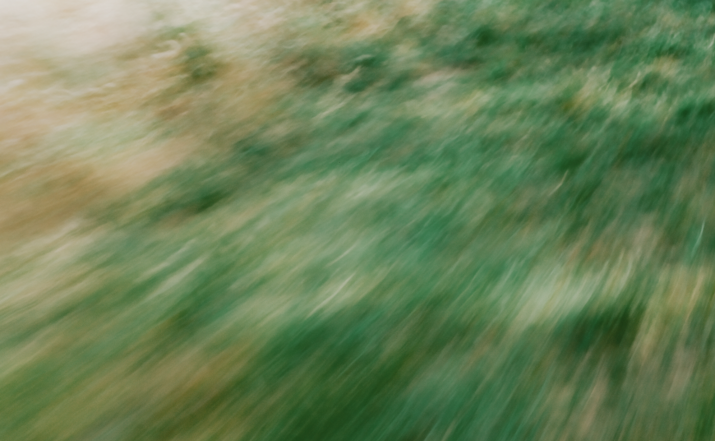 そんちょー報 Vol.21|ただ写真が好きな女性が、作家になるまでの "道のり"