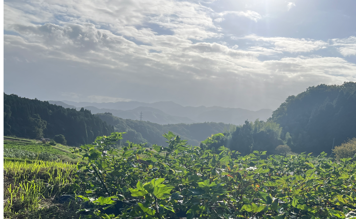 【島根県山王寺の棚田開催】nanadecor コットン種蒔きseed to futureツアー