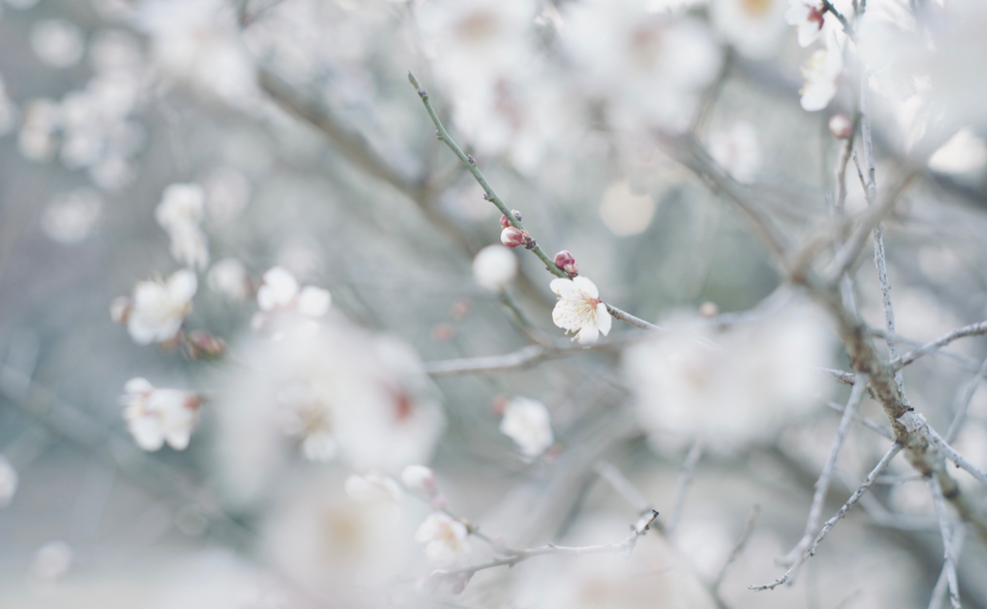 1月〜2月開催 ／つぶやきで参加！アートフォトコン 受賞作品発表 