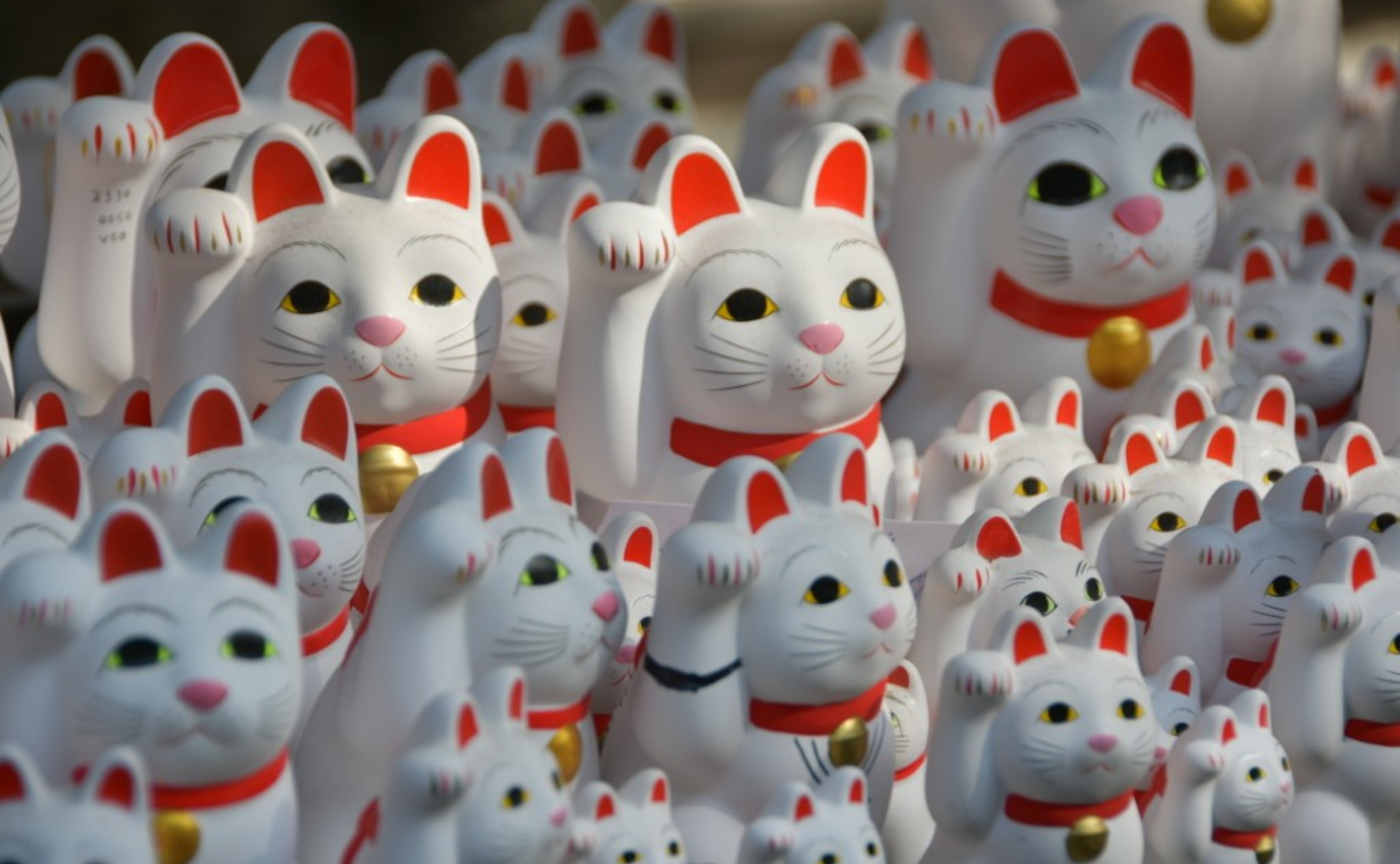 【開催レポ】豪徳寺と梅ヶ丘ゆるり撮影会