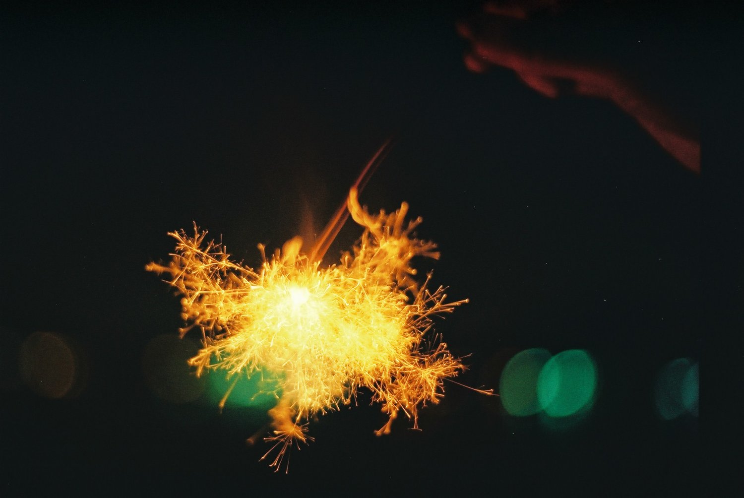 2020夏、湯浅。1日目