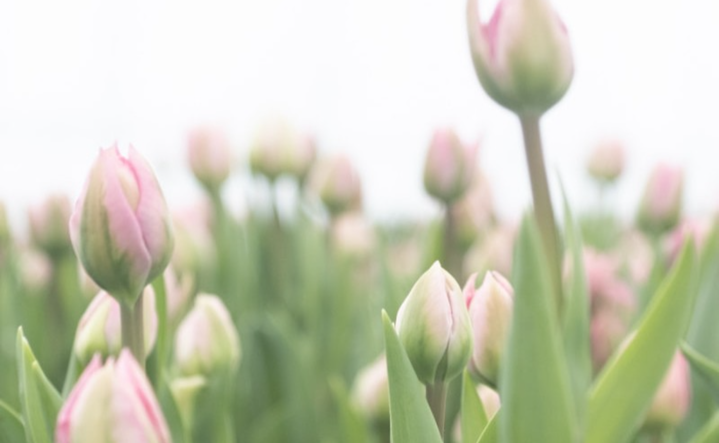 九州 | Food Trip to HOKURIKU & SHINSYU vol.1